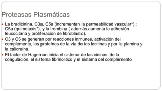 Proteasas Plasmáticas
 La bradicinina, C3a, C5a (incrementan la permeabilidad vascular*) ;
C5a (quimotaxis*), y la trombina ( además aumenta la adhesión
leucocitaria y proliferación de fibroblasto).
 C3 y C5 se generan por reacciones inmunes, activación del
complemento, las proteínas de la vía de las lecitinas y por la plamina y
la calicreína.
 El factor de Hageman inicia el sistema de las cininas, de la
coagulación, el sistema fibrinolitico y el sistema del complemento
 