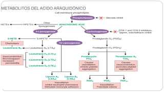 METABOLITOS DEL ACIDO ARAQUIDÓNICO
 