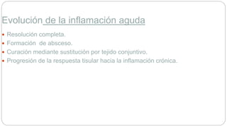 Evolución de la inflamación aguda
 Resolución completa.
 Formación de absceso.
 Curación mediante sustitución por tejido conjuntivo.
 Progresión de la respuesta tisular hacia la inflamación crónica.
 
