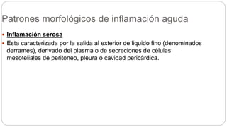 Patrones morfológicos de inflamación aguda
 Inflamación serosa
 Esta caracterizada por la salida al exterior de liquido fino (denominados
derrames), derivado del plasma o de secreciones de células
mesoteliales de peritoneo, pleura o cavidad pericárdica.
 