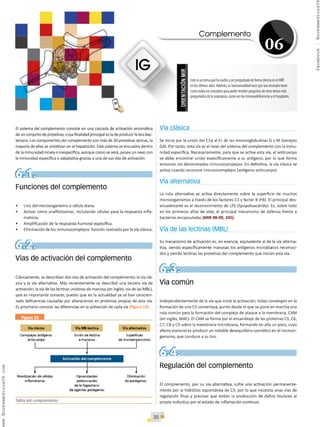 Fos Inles Inmunologia CTO 10 Manual de Medicina.pdf