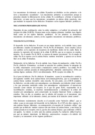 Los mecanismos de tolerancia en células B pueden ser divididos en dos: primarios o de
novo y mecanismos secundarios64
. Los mecanismos primarios se caracterizan porque se
presentan durante la diferenciación de las células B y contribuyen a formar el repertorio
linfocitario; en tanto que los mecanismos secundarios no alteran dicho repertorio, sino
que modulan la respuesta de los linfocitos B maduros en los órganos linfoides periféricos.
MECANISMOS PRIMARIOS (DE NOVO)
Dependen de una combinación entre la avidez antigénica y el umbral de activación del
receptor de célula B (BCR). Ocurren tanto en los órganos primarios (médula ósea, hígado
fetal) como en los tejidos linfoides periféricos. En los primeros se denominan
mecanismos de tolerancia central y en los segundos mecanismos de tolerancia periférica.
TOLERANCIACENTRAL
El desarrollo de los linfocitos B ocurre en sus etapas iniciales en la médula ósea y pasa
por diferentes estadios de maduración: Pro B, Pre B y B inmaduro. Estos estadios cursan
con cambios en la expresión de receptores de membrana dentro de los cuales llama la
atención la expresión del receptor de la célula B (BCR), que no se expresa en estadios
iniciales. En el estadio Pro B, BCR, se expresa de manera provisional. En el estadio de
célula Pre B se expresa con la cadena liviana sustituta invariable y aparece en su forma
final en la célula B inmadura.
Maduración de los linfocitos B en la médula ósea. Etapas de maduración: célula Pro B a
Pre B, y linfocito B inmaduro, en donde se aprecian los cambios durante la ontogenia de
la célula, relacionados con la avidez y maduración central y periférica. Las células Pre B
que expresan cadenas pesadas de inmunoglobulinas altamente autorreactivas (VH) con
cadenas ligeras sustitutas (SLC) son delecionadas. BCR: receptor de células B.
En el paso de linfocito Pre B a linfocito B inmaduro, ocurre la recombinación somática
del segmento variable de la cadena liviana de la inmunoglobulina, que va a reemplazar la
cadena liviana sustituta invariable antes descrita. En este punto, con el BCR completo,
los linfocitos con alta avidez por autoantígenos son eliminados por deleción clonal central
y los que presentan moderada avidez por autoantígenos experimentan el mecanismo
conocido como edición del receptor, en el que los genes RAG, responsables de la
recombinación somática, se reactivan momentáneamente y disminuyen la avidez del
receptor por autoantígenos pero conservando un receptor funcional frente a antígenos
extraños. Hoy en día, se considera que la edición del receptor es el mecanismo más
importante utilizado en la tolerancia central, por encima de la deleción clonal central65
.
Otro fenómeno recientemente descrito es el conocido como “inclusión alélica”, que se
refiere a que en este punto del desarrollo de los linfocitos B, el 50% de ellos expresa 2 o
más cadenas livianas diferentes, en contraposición al concepto de “exclusión alélica” que
postula que un linfocito maduro expresa sólo una forma de cadena liviana y una forma de
cadena pesada en su receptor, esto es, que las dos cadenas livianas que conforman el BCR,
son iguales. Lo mismo es cierto para las cadenas pesadas.”La inclusión alélica“explica
por qué un número importante de linfocitos autorreactivos escapan a la edición del
receptor y se encuentran en los órganos periféricos66
.
 