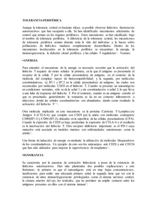 TOLERANCIAPERIFÉRICA
Aunque la tolerancia central es bastante eficaz, es posible observar linfocitos fuertemente
autorreactivos que han escapado a ella. Se han identificado mecanismos adicionales de
control que actúan en los órganos periféricos. Estos mecanismos se han clasificado bajo
el nombre de tolerancia periférica. A diferencia de la tolerancia central, los mecanismos
de tolerancia periférica actúan durante toda la vida del individuo y lo hacen sobre
poblaciones de linfocitos maduros completamente desarrollados. Dentro de los
mecanismos involucrados en la tolerancia periférica se encuentran: la anergia, la
inmunoignorancia, la deleción clonal periférica y las células T reguladoras44
. Veamos:
•ANERGIA
Para entender el mecanismo de la anergia es necesario recordar que la activación del
linfocito T requiere de varias señales: la primera, en la que el antígeno es presentado al
receptor de la célula T por la célula presentadora de antígeno, en el contexto de la
molécula del complejo mayor de histocompatibilidad; y la segunda, por moléculas
coestimuladoras, ej: B7.1 y B7.2 en la célula presentadora de antígeno, las cuales son
reconocidas por moléculas CD28 en el linfocito T. Cuando se presenta un autoantígeno
en condiciones normales, sólo se da la señal 1 y sin coestimulación o señal 2, lo que lleva
a una falta de respuesta del linfocito T. Por el contrario, cuando es un antígeno extraño el
que es presentado, generalmente la respuesta se da en un contexto inflamatorio o
infeccioso donde las señales coestimulatorias son abundantes, dando como resultado la
activación del linfocito T44,45
.
Otra molécula implicada en este mecanismo es la proteína Cytotoxic T-Lymphocyte
Antigen 4 (CTLA-4), que compite con CD28 por la unión con moléculas contraparte
CD80(B7-1) y CD86 (B7-2), ubicadas en la superficie de las células presentadoras (CPA).
Cuando la expresión de CD28 es baja, predomina la expresión de CTLA-4 y el resultado
es la inactivación del linfocito T. Otro receptor inhibitorio importante es el PD-1 cuya
mutación está asociada en modelos murinos con enfermedades autoinmunes como la
artritis44
.
Una forma de inducción de anergia es mediante la utilización de moléculas bloqueadoras
de los coestimuladores. Un ejemplo de esto son los anticuerpos anti CD28 y anti CD154
que han sido utilizados para mejorar la supervivencia de trasplantes30
.
•IGNORANCIA
Se caracteriza por la ausencia de activación linfocitaria a pesar de la existencia de
linfocitos autorreactivos. Han sido planteadas dos posibles explicaciones a este
fenómeno: la primera es que el autoantígeno está en muy bajas concentraciones,
insuficientes para emitir una adecuada primera señal; la segunda tiene que ver con la
existencia de sitios inmunológicamente privilegiados como el sistema nervioso central,
la cámara anterior del ojo, los testículos, que no permiten un amplio contacto entre los
antígenos presentes en ellos con el sistema inmune28
.
 