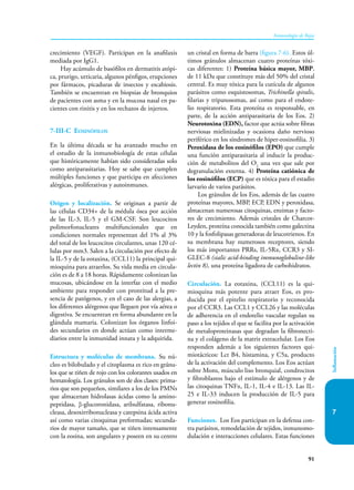 91
Inmunología de Rojas
Inflamación
7
crecimiento (VEGF). Participan en la anafilaxis
mediada por IgG1.
Hay acúmulo de basófilos en dermatitis atópi-
ca, prurigo, urticaria, algunos pénfigos, erupciones
por fármacos, picaduras de insectos y escabiosis.
También se encuentran en biopsias de bronquios
de pacientes con asma y en la mucosa nasal en pa-
cientes con rinitis y en los rechazos de injertos.
7-III-C Eosinófilos
En la última década se ha avanzado mucho en
el estudio de la inmunobiología de estas células
que históricamente habían sido consideradas solo
como antiparasitarias. Hoy se sabe que cumplen
múltiples funciones y que participa en afecciones
alérgicas, proliferativas y autoinmunes.
Origen y localización. Se originan a partir de
las células CD34+ de la médula ósea por acción
de las IL-3, IL-5 y el GM-CSF. Son leucocitos
polimorfo­
nucleares multifuncionales que en
condi­
ciones normales representan del 1% al 3%
del total de los leucocitos circulantes, unas 120 cé-
lulas por mm3. Salen a la circulación por efecto de
la IL-5 y de la eotaxina, (CCL11) la principal qui-
mioquina para atraerlos. Su vida media en circula-
ción es de 8 a 18 horas. Rápidamente colonizan las
mucosas, ubicándose en la interfaz con el medio
ambiente para responder con prontitud a la pre-
sencia de patógenos, y en el caso de las alergias, a
los diferentes alérgenos que lleguen por vía aérea o
digestiva. Se encuentran en forma abundante en la
glándula mamaria. Colonizan los órganos linfoi-
des secundarios en donde actúan como interme-
diarios entre la inmunidad innata y la adquirida.
Estructura y moléculas de membrana. Su nú-
cleo es bilobulado y el citoplasma es rico en gránu-
los que se tiñen de rojo con los colorantes usados en
hematología. Los gránulos son de dos clases: prima-
rios que son pequeños, similares a los de los PMNs
que almacenan hidrolasas ácidas como la amino-
peptidasa, β-glucoronidasa, arilsulfatasa, ribonu-
cleasa, desoxirribonucleasa y catepsina ácida ac­
tiva
así como varias citoquinas preformadas; secunda-
rios de mayor tamaño, que se ti­
ñen intensamente
con la eosina, son angulares y poseen en su centro
un cristal en forma de barra (figura 7-6). Estos úl-
timos gránulos almacenan cuatro proteínas tóxi-
cas diferentes: 1) Proteína básica mayor, MBP,
de 11 kDa que constituye más del 50% del cristal
central. Es muy tóxica para la cutícula de algunos
parásitos como es­
quistosomas, Trichinella spi­ralis,
filarias y tri­
pa­
nosomas, así como para el endote-
lio respiratorio. Esta proteína es responsable, en
parte, de la acción antiparasitaria de los Eos. 2)
Neurotoxina (EDN), factor que actúa sobre fibras
nerviosas mielinizadas y ocasiona daño nervioso
periférico en los síndromes de hiper-eosinofilia. 3)
Peroxidasa de los eosinófilos (EPO) que cumple
una función antiparasitaria al inducir la produc-
ción de metabolitos del O2
una vez que sale por
degranulación externa. 4) Proteína catiónica de
los eosinófilos (ECP) que es tóxica para el estadio
larvario de varios parásitos.
Los gránulos de los Eos, además de las cuatro
proteínas mayores, MBP, ECP, EDN y peroxidasa,
almacenan numerosas citoquinas, enzimas y facto-
res de crecimiento. Además cristales de Charcot-
Leyden, proteína conocida también como galectina
10 y la fosfolipasas generadoras de leucotrienos. En
su membrana hay numerosos receptores, siendo
los más importantes PRRs, IL-5Rα, CCR3 y SI-
GLEC-8 (sialic acid-binding immunoglobuline-like
lectin 8), una proteína ligadora de carbohidratos.
Circulación. La eotaxina, (CCL11) es la qui-
mioquina más potente para atraer Eos, es pro-
ducida por el epitelio respiratorio y reconocida
por el CCR3. Las CCL1 y CCL26 y las moléculas
de adherencia en el endotelio vascular regulan su
paso a los tejidos el que se facilita por la activación
de metaloproteinasas que degradan la fibronecti-
na y el colágeno de la matriz extracelular. Los Eos
responden además a los siguientes factores qui­
miotácticos: Lct B4, his­
ta­
mina, y C5a, producto
de la activación del complemento. Los Eos actúan
sobre Mons, músculo liso bronquial, condrocitos
y fibroblastos bajo el estímulo de alérgenos y de
las citoquinas TNFα, IL-1, IL-4 e IL-13. Las IL-
25 e IL-33 inducen la producción de IL-5 para
generar eosinofilia.
Funciones. Los Eos participan en la defensa con-
tra parásitos, remodelación de tejidos, inmunomo-
dulación e interacciones celulares. Estas funciones
 