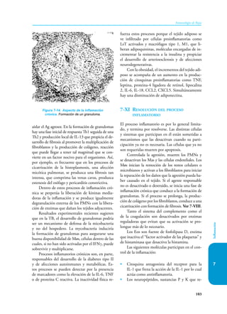 103
Inmunología de Rojas
Inflamación
7
aislar el Ag agresor. En la formación de granulomas
hay una fase inicial de respuesta Th1 seguida de una
Th2 y producción local de IL-13 que propicia el de-
sarrollo de fibrosis al promover la multiplicación de
fibroblastos y la producción de colágeno, reacción
que puede llegar a tener tal magnitud que se con­
vierte en un factor nocivo para el organismo. Así,
por ejemplo, es frecuente que en los procesos de
cicatrización de la histoplasmosis, una afección
micótica pulmonar, se produzca una fibrosis tan
intensa, que comprima las venas cavas, produzca
estenosis del esófago y pericarditis constrictiva.
Dentro de estos procesos de inflamación cró-
nica se perpetúa la liberación de kininas media-
doras de la inflamación y se produce igualmente
degranulación externa de los PMNs con la libera-
ción de enzimas que dañan los tejidos adyacentes.
Resultados experimentales recientes sugieren
que en la TB, el desarrollo de granulomas podría
ser un mecanismo de defensa de la micobacteria
y no del hospedero. La mycobacteria induciría
la formación de granulomas para asegurarse una
buena disponibilidad de Møs, células dentro de las
cuales, si no han sido activadas por el IFNγ, puede
sobrevivir y multiplicarse.
Procesos inflamatorios crónicos son, en parte,
responsables del desarrollo de la diabetes tipo II
y de afecciones autoinmunes y metabólicas. Es-
tos procesos se pueden detectar por la presencia
de marcadores como la elevación de la IL-6, TNF
o de proteína C reactiva. La inactividad física re-
fuerza estos procesos porque el tejido adiposo se
ve infiltrado por células proinflamatorias como
LsT activados y macrófagos tipo 1, M1, que li-
beran adipoquininas, moléculas encargadas de in-
crementar la resistencia a la insulina y propiciar
el desarrollo de arterioesclerosis y de afecciones
neurodegenerativas.
Con la obesidad, el incrementos del tejido adi-
poso se acompaña de un aumento en la produc-
ción de citoquinas proinflamatorias como TNF,
leptina, proteina-4 ligadora de retinol, lipocalina
2, IL-6, IL-18, CCL2, CXCL5. Simultáneamente
hay una disminución de adiponectina.
7-XI Resolución del proceso
inflamatorio
El proceso inflamatorio es por lo general limita-
do, y termina por resolverse. Las distintas células
y sistemas que participan en él están sometidas a
mecanismos que las desactivan cuando su parti-
cipación ya no es necesaria. Las células que ya no
son requeridas mueren por apoptosis.
Controlada la agresión, mueren los PMNs y
se desactivan los Mas y las células endoteliales. Los
Møs inician la remoción de los restos celulares o
microbianos y activan a los fibroblastos para iniciar
la reparación de los daños que la agresión pueda ha-
ber causado en el tejido. Si el agente responsable
no es desactivado o destruido, se inicia una fase de
inflamación crónica que conduce a la formación de
granulomas. Si el proceso se prolonga, la produc-
ción de colágeno por los fibroblastos, conduce a una
cicatrización con formación de fibrosis. Ver 7-VIII.
Tanto el sistema del complemento como el
de la coagulación son desactivados por enzimas
reguladoras que evitan que su activación se pro-
longue más de lo necesario.
Los Eos son fuente de fosfolipasa D, enzima
que inactiva el “factor activador de las plaquetas” y
de histaminasa que desactiva la histamina.
Las siguientes moléculas participan en el con-
trol de la inflamación:
• Citoquina antagonista del receptor para la
IL-1 que frena la acción de la IL-1 por lo cual
actúa como antinflamatoria.
• Los neuropéptidos, sustancias P y K que re-
Figura 7-14. Aspecto de la inflamación
crónica. Formación de un granuloma.
 