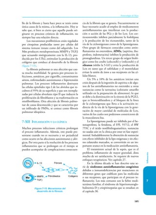 105
Inmunología de Rojas
Inflamación
7
llo de la fibrosis y hasta hace poco se tenía como
única causa de la misma, a la inflamación. Hoy se
sabe que, si bien es cierto que aquella puede ori-
ginarse en procesos crónicos de inflamación, no
siempre hay una relación directa.
Los mecanismos profibróticos están regulados
por citoquinas producidas tanto por células del
sistema inmune innato como del adquirido. Los
Møs producen metaloproteinasa MMP9 y TGFβ
que actuando sinérgicamente con la IL-13, pro-
ducida por los LTh2, estimulan la producción de
colágeno que conduce al desarrollo de la fibrosis
(figura 7-15).
La fibrosis pulmonar es una afección que cau-
sa mucha morbilidad. Se genera por procesos in-
fecciosos, asmáticos, por cigarrillo, contaminantes
aéreos, enfermedades autoinmunes e hipertensión
pulmonar. Los procesos inflamatorios destruyen
las células epiteliales tipo I de los alvéolos que re-
cubren el 95% de su superficie y que son reempla-
zadas por células alveolares tipo II que inducen la
proliferación de fibroblastos y su trasformación en
miofibroblastos. Otra afección de fibrosis pulmo-
nar de causa desconocida y que se caracteriza por
un infiltrado de PMNs, se conoce como fibrosis
pulmonar idiopática.
7-XII Inflamación y la clínica
Muchos procesos infecciosos crónicos prolongan
el proceso inflamatorio. Además, este puede pre-
sentarse cuando no es necesario y ser perjudicial
como ocurre en las afecciones autoinmunes y alér-
gicas. Por otra parte si la resolución de los procesos
inflamatorios que se prolongan en el tiempo se
pueden acompañar de complicaciones consecuen-
cia de la fibrosis que se genera. Frecuentemente se
hace necesario acudir al empleo de medicamentos
antiinflamatorios que interfieran con la produc-
ción o acción de las PGs y de los Lcts. Los cor-
ticoesteroides inhiben parcialmente la fosfolipasa
y la producción de los eicosanoides, tanto de la
vía de la ciclooxigenasa como de la lipooxigenasa.
Otro grupo de fármacos conocidos como antin-
flamatorios no esteroideos, AINEs, (aspirina, ibu-
profeno, indometacina) inhiben la producción de
prostaglandinas. Un tercer grupo de origen bioló-
gico como los coxibs (celecoxib) y (rofecoxib) y el
zileuton inhibe la 5-LO y evita la producción de
Lcts en tanto que el zafirlukast y el montelukast
evitan la unión de éstos a sus receptores en las cé-
lulas blanco.
Un 5% a 10% de los asmáticos inician una
crisis después de la ingestión de aspirina o de algu-
nos de los antinflamatorios no esteroides u otras
sustancias como la tartrazina (colorante amarillo
utilizado en la preparación de alimentos), lo que
se debe a la disminución en la síntesis de la PGE2,
que es broncodilatadora y al bloqueo de la línea
de la ciclooxigenasa que lleva a la activación in-
directa de la vía de la lipooxigenasa con la gene-
ración de mayor cantidad de moléculas de Lcts,
varios de los cuales son poderosos constrictores de
la musculatura lisa.
La lipooxigenasa puede ser inhibida por el be-
noxaprofeno, la fenidona, el FPL 55712, el BW
755C y el ácido nordihidroguaiarético, sustancias
no usadas aún en la clínica por estar en fase experi-
mental. Indudablemente la obtención de sustancias
con efecto inhibidor de la lipo-oxigenasa y sin efec-
tos colaterales marcados, se convertirán en un im-
portante avance en la medicación antiinflamatoria.
El tratamiento actual de la sepsis, que es el
problema inflamatorio de mayor gravedad, dista
mucho de ser satisfactorio. Se requiere de nuevos
enfoques terapéuticos. Ver capítulo 27.
En la última década se han descrito una se-
rie de síndromes autoinflamatorios congénitos
debidos a inmunodeficiencias por mutaciones en
diferentes genes que codifican para las moléculas
o sus receptores, que participan en el proceso in-
flamatorio. Los más comunes son la fiebre medi-
terránea familiar, el síndrome de hiperinmunoglo-
bulinemia D y criopirinopatías que se estudian en
el capítulo 30.
Figura 7-15. Mecanismos del
desarrollo de la fibrosis.
Mø
IL-13
TH2
Fibroblastos
MMP9
TGFβ
Colágeno
Fibrosis
 