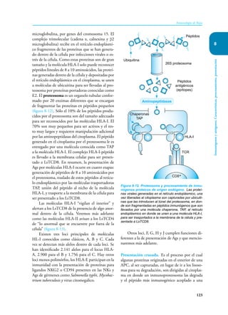 123
Inmunología de Rojas
Inmunógenos
y
antígenos.
Características,
procesamiento,
presentación
8
microglobulina, por genes del cromosoma 15. El
complejo trimolecular (cadena α, calnexina y β2
microglobulina) recibe en el retículo endoplásmi-
co fragmentos de las proteínas que se han genera-
do dentro de la célula por infecciones virales o es-
trés de la célula. Como estas proteínas son de gran
tamaño y la molécula HLA-I solo puede reconocer
péptidos lineales de 8 a 10 aminoácidos, las proteí-
nas generadas dentro de la célula y depositadas por
el retículo endoplásmico en el citoplasma, se unen
a moléculas de ubicuitina para ser llevadas al pro-
teosoma por proteínas portadoras conocidas como
E2. El proteosoma es un organelo tubular confor-
mado por 20 enzimas diferentes que se encargan
de fragmentar las proteínas en péptidos pequeños
(figura 8-12). Sólo el 10% de los péptidos produ-
cidos por el proteosoma son del tamaño adecuado
para ser reconocidos por las moléculas HLA-I. El
70% son muy pequeños para ser activos y el res-
to muy largos y requieren manipulación adicional
por las aminopeptidasas del citoplasma. El péptido
generado en el citoplasma por el proteosoma le es
entregado por una molécula conocida como TAP
a la molécula HLA-I. El complejo HLA-I-péptido
es llevado a la membrana celular para ser presen-
tado a LsTCD8. En resumen, la presentación de
Ags por moléculas HLA-I ocurre en cuatro etapas:
generación de péptidos de 8 a 10 aminoácidos por
el proteosoma, traslado de estos péptidos al retícu-
lo endosplásmico por las moléculas trasportadoras
TAP, unión del péptido al nicho de la molécula
HLA-I, y trasporte a la membrana de la célula para
ser presentado a los LsTCD8.
Las moléculas HLA-I “vigilan el interior” y
alertan a los LsTCD8 de la presencia de algo anor-
mal dentro de la célula. Veremos más adelante
como las moléculas HLA-II avisan a los LsTCD4
de “lo anormal que se encuentre por fuera de la
célula” (figura 8-13).
Existen tres loci principales de moléculas
HL-I conocidos como clásicos, A, B y C. Cada
vez se detectan más alelos dentro de cada loci. Se
han identificado 2.141 alelos para el locus HLA-
A, 2.900 para el B y 1.756 para el C. Hay otros
loci menos polimórfos, los HLA-E participan en la
inmunidad con la presentación de proteínas para
ligandos NKG2 o CD94 presentes en las NKs y
Ags de gérmenes como Salmonella typhi, Mycobac-
trium tuberculosis y virus citomegalico.
Otros loci, F, G, H y J cumplen funciones di-
ferentes a la de presentación de Ags y que mencio-
naremos más adelante.
Presentación cruzada. Es el proceso por el cual
algunas proteínas originadas en el exterior de una
APC, al ser capturadas, en lugar de ir a los lisoso-
mas para su degradación, son dirigidas al citoplas-
ma en donde un inmunoproteosoma las degrada
y el péptido más inmunogénico acoplado a una
Figura 8-12. Proteosoma y procesamiento de inmu-
nógenos proteicos de origen endógeno. Las proteí-
nas virales generadas en el retículo endoplásmico, una
vez liberadas al citoplasma son capturadas por ubicuiti-
nas que las introducen al túnel del proteosoma, en don-
de son fragmentadas en péptidos inmunógenos que son
llevados por una molécula chaperona, TAP, al retículo
endoplásmico en donde se unen a una molécula HLA-I,
para ser trasportados a la membrana de la célula y pre-
sentada a LsTCD8.
Ubiquitina
26S proteosoma
Péptidos
antigénicos
(epítopes)
Aminopeptidasas
Chaperonas
TAP
HLA-I
TCR
Péptidos
CD8+
 