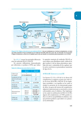 125
Inmunología de Rojas
Inmunógenos
y
antígenos.
Características,
procesamiento,
presentación
8
La tabla 8-2 resume las principales diferencias
entre las moléculas HLA-I y HLA-II.
En procesos inflamatorios desencadenados
por infecciones, se produce el IFNγ que induce
la expresión transitoria de moléculas HLA-II en
otras células como fibroblastos (piel), células de la
glía (cerebro), β de los islotes pancreáticos, epite-
liales del timo y endoteliales de los capilares, por
lo cual se convierten en presentadoras transitorias
de Ags a los Ls.
8-VII-A-III Genes de la clase III
Los factores C2, C4 y el B de la vía alterna del
complemento se originan en genes que están en-
tre los locus HLA-DR y HLA-B. En los haplo-
tipos extendidos, o sea aquellos en los cuales se
estudia la asociación de un determinado grupo
de alelos, los genes del sistema del complemento
adquieren importancia por su asociación a ciertas
enfermedades como la diabetes. Hay haplotipos
en los cuales la combinación de HLA-A, B, DR,
algunos del complemento y el TNF, pueden in-
dicar no solo la susceptibilidad a la diabetes, sino
que permiten predecir a qué edad se va a presen-
tar la enfermedad.
Figura 8-14. Origen y función de una molécula HLA-II. Una vez sintetizada en el retículo endoplásmico, el nicho
que debe presentar el Ag es protegido por la molécula HLA-DM, parte de la cual, clip, es removido una vez la HLA-
II llega al endosoma a unirse con un péptido que ha de ser llevado a la membrana para presentarlo a un LsTCD4.
Fagosoma
Lisosoma
Microorganismo
CD4
TCR
Ag
HLA-II
Ag bacterianos
Clip
HLA-II HLA-
DM
LTsCD4+
HLAII Cadena invariante Retículo endoplásmico
HLA-DM
Tabla 8-2. Diferencias entre HLA-I y HLA-II.
HLA-I HLA-II
Cadenas que
las integran.
α
β2-microglobulina
α
β
Localización de los
sitios de unión para
el Ag.
α1
α2
α1
β1
Unión al TCR. α3 al CD8 β2 al CD4
Tamaño de
los péptidos
que reconocen.
8-11
aminoácidos
12-34
aminoácidos
Denominaciones
de los loci.
HLA-A
HLA-B
HLA-C
HLA-DR α β
HLA-DQ α β
HLA-DP α β
HLA-DM
Células que
las expresan.
Todas
las células
nucleadas.
DC, Mø, LB,
endotelio
vascular
 