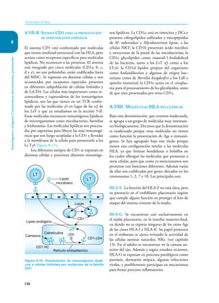 126
Inmunología de Rojas
Inmunógenos
y
antígenos.
Características,
procesamiento,
presentación
8
8-VII-B Sistema CD1 para la presentación
de inmunógenos lipídicos
El sistema CD1 está conformado por moléculas
que tienen similitud estructural con las HLA, pero
actúan como receptores específicos para moléculas
lipídicas. No reconocen a las proteicas. El sistema
está integrado por cinco moléculas (CD1a, b, c,
d y e), no son polimórfas, están codificadas fuera
del MHC. Se expresan en distintas células y son
reconocidos por receptores especiales presentes
en diferentes subpoblación de células linfoides y
de LsCD4. Las células más importantes como re-
conocedoras y capturadoras de los inmunógenos
lipídicos, son las que tienen en un TCR confor-
mado por las moléculas γδ en lugar de las αβ de
los LsT y que ya estudiamos en la sección 5-II.
Estas moléculas reconocen inmunógenos lipídicos
de microrganismos como micobacterias, borrelias
y leishmanias. Las moléculas lipídicas son procesa-
das por saponinas para liberar las más inmunogé-
nicas que son luego acopladas a la CD1 y llevadas
a la membrana de la célula para presentarla a los
Ls Tγδ (figura 8-15).
Los diferentes isotipos de CD1 se expresan en
distintas células y presentan distintos inmunóge-
nos lipídicos. La CD1a, está en timocitos y DCs y
presenta esfingolípidos sulfatados y micopéptidos
de M. tuberculosis y Mycobacterium leprae, a las
células NKT; la CD1b presentan ácido micólico
y estructuras de la pared de las micobacterias; la
CD1c glicolípidos como manosil-1-fosfodolicol
de las bacterias, tanto a los LsT αβ como a los
LTγδ; la CD1d lípidos propios del organismo
como fosfatidilserina y algunos de origen bac-
teriano como de Borrelia burgdorferi a los LsB y
epitelio intestinal; la CD1e actúa en el citoplas-
ma para el procesamiento de los glicolípidos, antes
de que sean presentados por otros CD1s.
8-VIII Moléculas HLA no clásicas
Bajo esta denominación, que creemos inadecuada,
se agrupa a un grupo de moléculas muy interesan-
tes biológicamente. Decimos que la denominación
es inadecuada porque estas moléculas no tienen
como función la presentación de Ags o inmunó-
genos. Se han agrupado bajo este título porque
tienen una configuración similar a las moléculas
HLA, ya que forman hendiduras o bolsillos en
los cuales albergan las moléculas que presentan a
otras células, pero que como ya mencionamos son
proteínas con funciones diferentes. Además varias
de ellas son codificadas por genes ubicados en los
cromosomas 1, 2, 7 y 18. Las principales son:
HLA-F. La función del HLA-F no está clara, pero
su presencia en el trofoblasto placentario sugiere
que cumple alguna función en proteger al feto de
ataque del sistema inmune de la madre.
HLA-G. Se encuentran casi exclusivamente en
el tejido placentario, en la interfaz materno-fetal,
en donde no se expresa ninguno de los otros Ags
de las clases HLA-I y HLA-II. Su papel protector
en el embarazo se ejerce evitando la actividad de
las células asesinas naturales, NKs. (ver capítulo
13). En el adulto se encuentran en la cámara an-
terior del ojo. Además y según estudios recientes,
HLA-G se expresan en procesos patológicos como
psoriasis, dermatitis atópica, algunas infecciones
virales, y posiblemente participan en mecanismos
para frenar procesos inflamatorios.
Figura 8-15. Presentación de inmunógenos lipídi-
cos a células linfoides por moléculas de la familia
CD1.
LT
LT
Lípido
microbiano
Retículo endoplásmico
Lípido endógeno
Calreticulina
Calnexina β2m
CD1-β2m
CD1 HC
Lípido
CD1
 