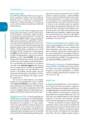 132
Inmunología de Rojas
Órganos
linfoides
y
ontogenia
de
los
linfocitos
9
Nichos funcionales
En la MO hay diferentes nichos que más que es-
pacios anatómicos aislados, son microambientes
formados por la conjunción de quimioquinas,
citoquinas y factores generados en el estroma, y
en los cuales se producen las diferentes células del
sistema inmune.
Nichos para los LsB. Estos se originan por seña-
les que parten del endostio y por la acción conjun-
ta de osteoblastos, osteoclastos, células reticulares
y mesangiales productoras de la IL-7, así como de
las moléculas APRIL y BAFF, citoquinas indispen-
sables para el crecimiento, maduración y supervi-
vencia de los LsB. La producción de estos Ls se ini-
cia con la generación de una línea que pasa por las
siguientes etapas: Ls-pro-B, expresan las moléculas
CD34 y CD19, luego se trasforman en Ls pre-B
al perder la CD34 y adquieren el receptor para el
Ag, BCR, (B cell receptor), que es una molécula
de IgM. Simultáneamente expresa otra inmuno-
globulina, la IgD. (ver 11-XVII). En esta etapa
de desarrollo la mayor parte de los LsB cuyo BCR
puede reconocer los antígenos propios del organis-
mo, son destruidos por apoptosis, en un proceso
conocido como selección negativa, que evita que
entren a circulación Ls con BCR con capacidad de
reconocer Ags propios. Los que sobreviven a este
control, y que podrían atacar lo propio, son pos-
teriormente reconocidos y destruidos en el bazo
para evitar que más adelante, den origen a proce-
sos autoinmunes.
En las aves los LsB maduran en un órgano
situado en la proximidad de la cloaca, conocido
como bursa de Fabricius. Este órgano, curiosa-
mente, desapareció en la evolución y no existe en los
mamíferos, en los cuales la maduración de los LsB
ocurre en el hígado durante la vida intrauterina, y
luego en la MO y bazo durante el resto de la vida.
Subpoblaciones de LsB. Se han identificado tres:
1) LsB-2 que se encuentran en: los folículos linfoi-
des, (los veremos al estudiar los órganos linfoides
secundarios), en circulación, y en varios tejidos.
Tienen una vida media de 8 semanas durante los
cuales “buscan” tener contacto con el Ag para el
cual su BCR esté programado. 2) LsB de la zona
marginal del bazo, que generan Acs de la clase IgM
contra moléculas de polisacáridos-proteínas porta-
doras. No necesitan la ayuda de los LsT. 3) LsB-1
presentes en pleura, peritoneo, y anillo de Walde-
yer que constituyen el 5% de todos los LsB, expre-
san la molécula CD5 y no requieren que el Ag les
sea presentado por otra célula. Producen Acs que
se conocen como naturales porque no requieren
de un proceso de aprendizaje requerido por otros
LsB. La literatura científica reciente plantea la in-
quietud de que estas células estén genéticamente
programadas para responder a algunos pocos Ags
con la producción de Acs solo de la clase IgM y
que hacen parte de la inmunidad natural. Fueron
estudiados en la sección 5-III.
Nicho para células plasmáticas en la MO. Cons-
tituye un microambiente rico en CXCL12, IL-6,
CD44, BAFF y APRIL que atrae y almacena las
células plasmáticas, que como veremos más ade-
lante, se originan a partir de los LsB activados en
los centros germinales de los ganglios linfáticos.
En la formación de estos nichos participan los Eos
con la producción de APRIL y los megacariocitos,
que además de APRIL, producen IL-6.
Nichos para Ls de memoria. En ellos se albergan
tanto LsTCD4 y LsTCD8 como LsB de memo-
ria. Estos Ls al reconocer el reingreso del Ag que
los generó, se activarán rápidamente y se trasfor-
marán en células productoras del citoquinas o de
Acs, contra “su” Ag.
9-II-B Timo
La función principal del timo es la de “educar” a
los LsT para que toleren lo propio y ataquen lo
extraño. No obstante ser el órgano central de la in-
munidad adquirida, su función solo fue reconocida
en 1960, cuando se encontró que su carencia era
responsable de una inmuno-deficiencia severa. El
timo tiene una compleja relación con los sistemas
endocrino y nervioso. Está ricamente inervado
tanto con fibras adrenérgicas como colinérgicas.
El timo está ubicado en la parte superior del
mediastino anterior, tiene una gran actividad en la
vida embrionaria y alcanza su mayor tamaño en el
período perinatal, cuando es casi igual al corazón
del recién nacido. A la edad de siete años llega a
pesar 40 g. De ahí en adelante pierde tamaño y
 