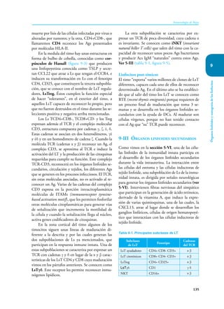 135
Inmunología de Rojas
Órganos
linfoides
y
ontogenia
de
los
linfocitos
9
muerte por lisis de las células infectadas por virus o
alteradas por tumores; y la otra, CD4+CD8-, que
llamaremos CD4 reconoce los Ags presentados
por moléculas HLA-II.
En la medula del timo hay unas estructuras en
forma de bulbo de cebolla, conocidas como cor-
púsculos de Hassall (figura 9-3) que producen
una linfopoyetina conocida como TSLP y secre-
tan CCL22 que atrae a Ls que tengan el CCR4, e
inducen su transformación en Ls con el fenotipo
CD4, CD25, que constituyen la tercera subpobla-
ción, que se conoce con el nombre de LsT regula-
dores, LsTreg. Éstos cumplen la función especial
de hacer “tolerantes”, en el exterior del timo, a
aquellos LsT capaces de reconocer lo propio, pero
que no fueron destruidos en el timo durante las se-
lecciones positiva y negativa arriba mencionadas.
Los Ls TCD4+CD8-, TCD8+CD- y los Treg
expresan además el TCR y el complejo molecular
CD3, estructura compuesta por cadenas γ, ζ, έ, δ.
Estas cadenas se asocian en dos heterodímeros, γέ
y έδ y en un homodimero de cadena ζ. Cuando la
molécula TCR (cadenas α y β) reconoce un Ag, el
complejo CD3, se aproxima al TCR e induce la
activación del LT y la producción de las citoquinas
requeridas para cumplir su función. Este complejo
TCR-CD3, reconocerá en los órganos linfoides se-
cundarios, circulación y tejidos, los diferentes Ags
que se generen en los procesos infecciosos. El TCR,
sin estas moléculas asociadas, no es activado al re-
conocer un Ag. Varias de las cadenas del complejo
CD3 expresa en la porción intracitoplasmática
moléculas de ITAMs (immunoreceptor tyrosine-
based activation motif), que les permiten fosforilar
otras moléculas citoplasmáticas para generar vías
de señalización que incrementa la motilidad de
la célula y cuando la señalización llega al núcleo,
activa genes codificadores de citoquinas.
En la zona cortical del timo algunos de los
timocitos siguen unas líneas de maduración di-
ferente a la descrita y por las cuales generan las
dos subpoblaciones de Ls ya mencionados, que
participan en la respuesta inmune innata. Una de
estas subpoblaciones se caracteriza por expresar un
TCR con cadenas γ y δ en lugar de la α y β carac-
terísticas de los LsT CD4 y CD8 cuya maduración
vimos en los párrafos anteriores. Se conocen como
LsTγδ. Este receptor les permite reconocer inmu-
nógenos lipídicos.
La otra subpoblación se caracteriza por ex-
presar un TCR de poca diversidad, cuya cadena α
es invariante. Se conocen como iNKT (invariant
natural killer T cells) que salen del timo con la ca-
pacidad de reconocer unos pocos Ags bacterianos
y producir Acs IgM “naturales” contra estos Ags.
Ver 5-III (tabla 9-1, figura 9-5).
Linfocitos post-tímicos
El timo “exporta” varios millones de clones de LsT
diferentes, capaces cada uno de ellos de reconocer
determinado Ag. En el último año se ha estableci-
do que al salir del timo los LsT se conocen como
RTE (recent thymic emigrants) porque requieren de
un proceso final de maduración que toma 3 se-
manas y se desarrolla en los órganos linfoides se-
cundarios con la ayuda de DCs. Al madurar son
células vírgenes, porque no han tenido contacto
con el Ag que “su” TCR puede reconocer.
9-III Órganos linfoides secundarios
Como vimos en la sección 5-VI, una de las célu-
las linfoides de la inmunidad innata participa en
el desarrollo de los órganos linfoides secundarios
durante la vida intrauterina. La interacción entre
las células del estroma y las células inductoras de
tejido linfoide, una subpoblación de Ls de la inmu-
nidad innata, es dirigida por señales neurológicas
para generar los órganos linfoides secundarios (ver
5-VI). Intervienen fibras nerviosas del simpático
que participan en la generación de ácido retinoico,
derivado de la vitamina A, que induce la expre-
sión de varias quimioquinas, una de las cuales, la
CXCL13, atrae al lugar donde se desarrollan los
ganglios linfáticos, células de origen hematopoyé-
tico que interactúan con las células inductoras de
tejido linfoide.
Subclases
de LsT
Fenotipo
Cadenas
del TCR
LsT ayudadores CD4+ CD8- CD3+ α β
LsT citotóxicos CD8+ CD4- CD3+ α β
LsTreg CD4+ CD25+ α β
LsTγδ CD1 γ δ
NKT CD16+ α β
Tabla 9-1. Principales subclases de LT.
 