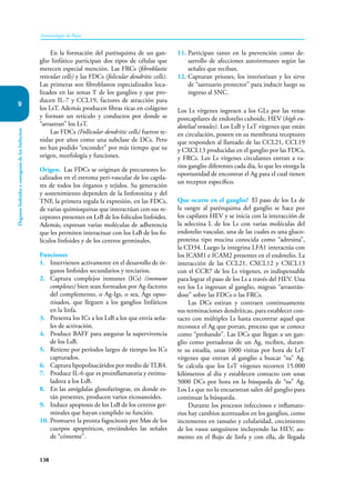 138
Inmunología de Rojas
Órganos
linfoides
y
ontogenia
de
los
linfocitos
9
En la formación del parénquima de un gan-
glio linfático participan dos tipos de células que
merecen especial mención. Las FRCs (fibroblastic
reticular cells) y las FDCs (folicular dendritic cells).
Las primeras son fibroblastos especializados loca-
lizados en las zonas T de los ganglios y que pro-
ducen IL-7 y CCL19, factores de atracción para
los LsT. Además producen fibras ricas en colágeno
y forman un retículo y conductos por donde se
“arrastran” los LsT.
Las FDCs (Follicular dendritic cells) fueron te-
nidas por años como una subclase de DCs. Pero
no han podido “esconder” por más tiempo que su
origen, morfología y funciones.
Origen. Las FDCs se originan de precursores lo-
calizados en el estroma peri-vascular de los capila-
res de todos los órganos y tejidos. Su generación
y sostenimiento dependen de la linfotoxina y del
TNF, la primera regula la expresión, en las FDCs,
de varias quimioquinas que interactúan con sus re-
ceptores presentes en LsB de los folículos linfoides.
Además, expresan varias moléculas de adherencia
que les permiten interactuar con los LsB de los fo-
lículos linfoides y de los centros germinales.
Funciones
1. Intervienen activamente en el desarrollo de ór-
ganos linfoides secundarios y terciarios.
2. Captura complejos inmunes (ICs) (immune
com­plexes) bien sean formados por Ag-factores
del complemento, o Ag-Igs, o sea, Ags opso-
nisados, que lleguen a los ganglios linfáticos
en la linfa.
3. Presenta los ICs a los LsB a los que envía seña-
les de activación.
4. Produce BAFF para asegurar la supervivencia
de los LsB.
5. Retiene por períodos largos de tiempo los ICs
capturados.
6. Captura lipopolisacáridos por medio de TLR4.
7. Produce IL-6 que es proinflamatoria y estimu-
ladora a los LsB.
8. En las amígdalas glosofaríngeas, en donde es-
tán presentes, producen varios eicosanoides.
9. Induce apoptosis de los LsB de los centros ger-
minales que hayan cumplido su función.
10. Promueve la pronta fagocitosis por Møs de los
cuerpos apoptóticos, enviándoles las señales
de “cómeme”.
11. Participan tanto en la prevención como de-
sarrollo de afecciones autoinmunes según las
señales que reciban.
12. Capturan priones, los interiorizan y les sirve
de “santuario protector” para inducir luego su
ingreso al SNC.
Los Ls vírgenes ingresen a los GLs por las venas
postcapilares de endotelio cuboide, HEV (high en-
dotelial venules). Los LsB y LsT vírgenes que están
en circulación, poseen en su membrana receptores
que responden al llamado de las CCL21, CCL19
y CXCL13 producidas en el ganglio por las FDCs,
y FRCs. Los Ls vírgenes circulantes entran a va-
rios ganglio diferentes cada día, lo que les otorga la
oportunidad de encontrar el Ag para el cual tienen
un receptor específico.
Que ocurre en el ganglio? El paso de los Ls de
la sangre al parénquima del ganglio se hace por
los capilares HEV y se inicia con la interacción de
la selectina L de los Ls con varias moléculas del
endotelio vascular, una de las cuales es una gluco-
proteina tipo mucina conocida como “adresina”,
la CD34. Luego la integrina LFA1 interactúa con
los ICAM1 e ICAM2 presentes en el endotelio. La
interacción de las CCL21, CXCL12 y CXCL13
con el CCR7 de los Ls vírgenes, es indispensable
para lograr el paso de los Ls a través del HEV. Una
vez los Ls ingresan al ganglio, migran “arrastrán-
dose” sobre las FDCs o las FRCs.
Las DCs estiran y contraen continuamente
sus terminaciones dendríticas, para establecer con-
tacto con múltiples Ls hasta encontrar aquel que
reconoce el Ag que portan, proceso que se conoce
como “probando”. Las DCs que llegan a un gan-
glio como portadoras de un Ag, reciben, duran-
te su estadía, unas 1000 visitas por hora de LsT
vírgenes que entran al ganglio a buscar “su” Ag.
Se calcula que los LsT vírgenes recorren 15.000
kilómetros al día y establecen contacto con unas
5000 DCs por hora en la búsqueda de “su” Ag.
Los Ls que no lo encuentran salen del ganglio para
continuar la búsqueda.
Durante los procesos infecciosos e inflamato-
rios hay cambios acentuados en los ganglios, como
incremento en tamaño y celularidad, crecimiento
de los vasos sanguíneos incluyendo las HEV, au-
mento en el flujo de linfa y con ella, de llegada
 