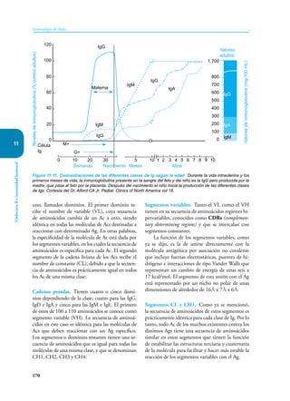 170
Inmunología de Rojas
Linfocitos
B
e
inmunidad
humoral
11
uno, llamados dominios. El primer dominio re-
cibe el nombre de variable (VL), cuya secuencia
de aminoácidos cambia de un Ac a otro, siendo
idéntica en todas las moléculas de Acs destinadas a
reaccionar con determinado Ag. En otras palabras,
la especificidad de la molécula de Ac está dada por
los segmentos variables, en los cuales la secuencia de
amino­
ácidos es específica para cada Ac. El segundo
segmento de la cadena liviana de los Acs recibe el
nombre de constante (CL), debido a que la secuen-
cia de aminoácidos es prácticamente igual en todos
los Ac de una misma clase.
Cadenas pesadas. Tienen cuatro o cinco domi-
nios dependiendo de la clase, cuatro para las IgG,
IgD e IgA y cinco para las IgM e IgE. El primero
de estos de 100 a 110 aminoácidos se conoce como
segmento variable (VH). La secuencia de aminoá-
cidos en este caso es idéntica para las moléculas de
Acs que deben reaccionar con un Ag específico.
Los segmentos o dominios restantes tienen una se-
cuencia de aminoácidos que es igual para todas las
moléculas de una misma clase, y que se denominan
CH1, CH2, CH3 y CH4.
Segmentos variables. Tanto el VL como el VH
tienen en su secuencia de aminoácidos regiones hi-
pervariables, conocidos como CDRs (complemen-
tary determining regions) y que se intercalan con
segmentos constantes.
La función de los segmentos variables, como
ya se dijo, es la de unirse directamente con la
molécula antigénica por asociación no covalente
que incluye fuerzas electrostáticas, puentes de hi-
drógeno e interacciones de tipo Vander Walls que
representan un cambio de energía de unas seis a
17 kcal/mol. El segmento de esta unión con el Ag
está representado por un nicho no polar de unas
dimensiones de alrededor de 16Å x 7Å x 6Å.
Segmentos CL y CH1. Como ya se mencionó,
la secuencia de aminoácidos de estos segmentos es
prácticamente idéntica para cada clase de Ig. Por lo
tanto, todo Ac de los muchos existentes contra los
distintos Ags tiene una secuencia de aminoácidos
similar en estos segmentos que tienen la función
de estabilizar las estructuras terciaria y cuaternaria
de la molécula para facilitar y hacer más estable la
reacción de los segmentos variables con el Ag.
Figura 11-11. Concentraciones de las diferentes clases de Ig según la edad. Durante la vida intrauterina y los
primeros meses de vida, la inmunoglobulina presente en la sangre del feto y del niño es la IgG pero producida por la
madre, que pasa al feto por la placenta. Después del nacimiento el niño inicia la producción de las diferentes clases
de Igs. Cortesía del Dr. Alford CA Jr. Pediat. Clinics of North America vol 18.
Semanas Meses Años
Nacimiento
0 10 20 30		 5 10 1 2 3 4 5 6 7 8 9 10
G+
Niveles
de
inmunoglobulina
(%
control
adultos)
120
100
80
60
40
20
0
Célula
Ig
M+
IgG
IgG
IgA
IgM
IgG
IgA
IgM
Valores
de
inmunoglobulina
(mg/100
mL)
IgG
IgM
Materna
1.700
800
700
600
500
400
300
200
100
0
Valores
adultos
 
