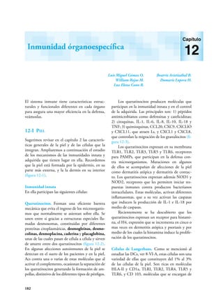 182
Luis Miguel Gómez O.
William Rojas M.
Luz Elena Cano R.
Beatriz Aristizábal B.
Damaris Lopera H.
Inmunidad órganoespecífica
Capítulo
12
El sistema inmune tiene características estruc-
turales y funcionales diferentes en cada órgano
para asegura una mayor eficiencia en la defensa,
veámoslas.
12-I Piel
Sugerimos revisar en el capítulo 2 las caracterís-
ticas generales de la piel y de las células que la
integran. Ampliaremos a continuación el estudio
de los mecanismos de las inmunidades innata y
adquirida que tienen lugar en ella. Recordemos
que la piel está formada por la epidermis, en su
parte más externa, y la la dermis en su interior
(figura 12-1).
Inmunidad innata
En ella participan las siguientes células:
Queratinocitos. Forman una eficiente barrera
mecánica que evita el ingreso de los microorganis-
mos que normalmente se asientan sobre ella. Se
unen entre si gracias a estructuras especiales lla-
madas desmosomas, constituidas por diferentes
proteínas cito­plasmáticas, desmogleínas, desmo­
colinas, desmoplacina, caderina y placaglobina,
unas de las cuales pasan de célula a célula y sirven
de amarre entre dos queratinocitos (figura 12-2).
En algunas afecciones autoinmunes de la piel se
detectan en el suero de los pacientes y en la piel,
Acs contra una o varias de estas moléculas que al
activar el complemento, ocasionan la separación de
los queratinocitos generando la formación de am-
pollas, distintivo de los diferentes tipos de pénfigos.
Los queratinocitos producen moléculas que
participan en la inmunidad innata y en el control
de la adquirida. Las principales son: 1) péptidos
antimicrobianos como defensinas y catelicidinas;
2) citoquinas, IL-1, IL-6, IL-8, IL-10, IL-18 y
TNF; 3) quimioquinas, CCL20, CXC9, CXCLlO
y CXCL11, que atraen Ls, y CXCL1 y CXCL8,
que controlan la migración de los granulocitos (fi-
gura 12-3).
Los queratinocitos expresan en su membrana
TLR1, TLR2, TLR3, TLR5 y TLR6, receptores
para PAMPs, que participan en la defensa con-
tra microorganismos. Mutaciones en algunos
de ellos se acompañan de afecciones de la piel
como dermatitis atópica y dermatitis de contac-
to. Los queratinocitos expresan además NOD1 y
NOD2, receptores que les permiten iniciar res-
puestas inmunes contra productos bacterianos
intracelulares. Estas moléculas, activan diferentes
inflamasomas, que a su vez activan las caspasas
que inducen la producción de IL-1 e IL-18 por
medio de caspasas.
Recientemente se ha descubierto que los
queratinocitos expresan un receptor para histami-
na, el H4, expresión que se incrementa en cinco o
mas veces en dermetitis atópica y psoriasis y por
medio de los cuales la histamina induce la prolife-
ración de los queratinocitos.
Células de Langerhans. Como se mencionó al
estudiar las DCs, ver 8-VI-A, estas células son una
variedad de ellas que constituyen del 1% al 3%
de las células de la piel. Son ricas en moléculas
HLA-II y CD1a, TLRI, TLR2, TLR4, TLR5 y
TLR6, y CD 103, moléculas que se encargan de
 