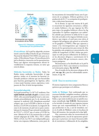 185
Inmunología de Rojas
Inmunidad
órganoespecífica
12
El microbioma de la piel ha adquirido creciente
interés como lo refleja el hecho de que el Instituto
Nacional de Salud de USA (NIH) creó, para su es-
tudio, el Microbiome Project. El microbioma de la
piel es dinámico, interactúa con los queratinocitos.
Parece que algunos microorganismos afectan fa-
vorablemente la respuesta inmune, en tanto que
otros la dañan.
Moléculas bactericidas en fluidos. Todos los
fluidos tienen moléculas bactrericidas: el jugo
gástrico, ácidos; en el intestino las bacterias co-
mensales producen colicinas que son bactericidas
para bacterias gramnegativas; las lágrimas, saliva
y moco nasal, lisozima; semen, espermina y com-
puestos de Zinc; la leche lactoperoxidasa.
Inmunidad adquirida
En la piel normal hay 2 x 1010
LsT residentes. Este
tejido linfoide asociado a la piel, se conoce como
SALT, (skin-associated lymphoid tissue) y está cons-
tituido primordialmente por Ls de memoria que
expresan la molécula LAA (lyimphocyte-associated
antigen), que si son LsTCD8 se ubican en la epi-
dermis y si LsTCD4 en la dermis. La migración de
estos Ls de memoria a la piel está en parte contro-
lada por la vitamina D que estimula la producción
de CCL17 y CCL27 que al unirse al CCR4 los
atrae. Además de los Ls de memoria hay en la piel
normal subgrupos de LsThl, Th2 y Th17, células
NKTs y LTγδs. Los Th17s son indispensables para
iniciar una respuesta inflamatoria, como parte de
los mecanismos de inmunidad innata ante la pre-
sencia de un patógeno. Defectos genéticos en la
producción de IL-17 se acompañan de predisposi-
ción a infecciones bacterianas.
En la dermis, la capa más interna de la piel,
se encuentran las siguientes estructuras y células:
a) canales linfáticos a los que ingresan las DCs
para viajar a los ganglios linfáticos a llevar los Ag
capturados; b) capilares sanguíneos con endote-
lio cuboide que permiten la salida de los Ls que
han sido activados en los órganos linfoides secun-
darios y que migran a la piel para estar alerta al
reingreso del patógenos que generó su activación
en los ganglios; c) PMNs y Møs que capturan y
matan a los microorganismos que traspasan la
barrera de los queratinocitos para extraer de ellos
los péptidos más antigénicos y presentárselos a las
células de Langerhans; d) Mas, células que parti-
cipan en todo proceso inflamatorio de defensa y
en las afecciones alérgicas y autoinmunes de la
piel; e) células NK que reconocen, atacan y des-
truyen patógenos.
Recientemente se ha identificado en la piel la
presencia de Ls Th22, cuyo número se incrementa
en la dermatitis atópica. Ver 34-V-B.
Para el estudio de las afecciones alérgicas de la
piel, ver cap. 34 y para las enfermedades autoin-
munes, el cap. 46.
12-II Tracto respiratorio
El sistema respiratorio tiene componentes físicos y
químicos que participan en la defensa.
Anillo de Waldeger. Está conformado por es-
tructuras linfoides, amígdalas tonsilares, palatinas,
linguales y las adenoides, que poseen folículos lin-
foides, y que están recubiertas por un epitelio esca-
moso estratificado (ver 9-III-D). Recientemente
se ha iniciado el estudio de una respuesta inmune
innata que sería responsabilidad de los LsB-1 y
que producirían in situ, y casi de inmediato, tan-
to en el anillo de Waldeyer como en las placas de
Peyer del intestino, Acs naturales de la clase IgM.
Hay controversia sobre los inconvenientes de
la amigdalectomía, una de las operaciones quirúr-
gicas que se practican con mayor frecuencia debi-
do al crecimiento e inflamación de las amígdalas,
Figura 12-3. Citoquinas y quimioquinas
producidas por los queratinocitos.
Estímulo
Quimioquinas que regulan
la circulación de los PMNs
IL-1
IL-6
IL-8
IL-10
IL-18
GM-
CSF
TNF
TGF
CXCL1
CXCL8
CCL20
CXCL19
CXCL10
CXCL11
Defensinas
Catelicidinas
 