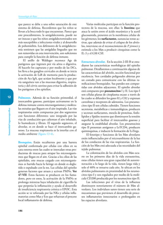 186
Inmunología de Rojas
Inmunidad
órganoespecífica
12
que parece se debe a una sobre saturación de este
sistema de defensa. Recordemos que los niños se
llevan a la boca todo lo que encuentran. Parece que
este procedimiento, la amigdalectomía, puede no
ser inocuo y que los niños amigdalectomizados son
más susceptibles a infecciones virales y al desarrollo
de poliomielitis. Los defensores de la amigdalecto-
mía sostienen que las amígdalas linguales que no
son removidas en esta intervención, son suficientes
para cumplir la función de defensa inmune.
El anillo de Waldeger reconoce Ags de
patógenos que ingresen por vía aérea o digestiva.
Al hacerlo los capturara y por medio de las DCs,
los lleva a los ganglios cervicales en donde se inicia
la activación de LsB de memoria para la produc-
ción de Acs IgA, que actúan localmente y que por
vía sanguínea van a las mucosas digestiva, respira-
toria y del cérvix uterino para evitar la adhesión de
los patógenos a los epitelios.
Pulmones. Además de su función primordial, el
intercambio gaseoso, participan activamente en la
defensa inmune contra microorganismos y molécu-
las extrañas que lleguen en el aire inspirado. Las vías
respiratorias están compuestas por dos segmentos
con funciones diferentes: uno integrado por las
vías de conducción que calientan el aire inhalado,
lo humedecen y filtran. El segundo segmento, el
alveolar, es en donde se hace el intercambio ga-
seoso. La mucosa respiratoria es la interfaz con el
medio ambiente (figura 12-4).
Bronquios. Están recubiertos por una barrera
epitelial conformada por células con cilios en su
cara externa entre las cuales se intercalan otras pro-
ductoras de mucus para atrapar los microorganis-
mos que llegan en el aire. Gracias a los cilios de las
epiteliales, este mucus cargado con microorganis-
mos es barrido hacia la faringe en donde es deglu-
tido o expulsado con la tos. Las células del epitelio
generan factores que atraen y activan PMNs. Ver
47-VII. Estos factores se producen en los fuma-
dores, pero en estos, la activación de la PMNs se
prolonga mientras haya inhalación de cigarrillo lo
que perpetúa la inflamación y ayuda al desarrollo
de insuficiencia respiratoria crónica o EPOC. Esta
acción se ve reforzada por las NKs y células infla-
matorias como Mas y Eos que refuerzan el proceso
local inflamatorio de defensa.
Varias moléculas participan en la función pro-
tectora de la mucosa, son ellas: la lisozima que
ataca la unión entre el ácido murámico y la acetil
glucosamida, presentes en la membrana celular de
los gérmenes; los surfactantes, sustancias tenso ac-
tivas, que además de evitar el colapso de los alvéo-
los, interviene en el reconocimiento de P. jiroveci y
estimula a los Møs a producir citoquinas como la
IL-3 y el GM-CSF.
Estructura alveolar. En la sección 2-III-B se estu-
diaron las características morfológicas del epitelio
pulmonar. Detallaremos a continuación algunas de
las características del alvéolo, sección funcional por
excelencia. Son cavidades poligonales abiertas por
un costado para comunicarse con las últimas ra-
mificaciones bronquiales. Sus paredes son compar-
tidas con alvéolos adyacentes. El epitelio alveolar
está compuesto por pneumocitos I y II. Los tipo I
son células planas de citoplasma escaso a través de
las cuales se difunden los gases 02 y C02 y expresan
caveolinas y receptores de adenosina. Los pneumo-
citos tipo II son células cuboides. Tienen funciones
secretoras, metabólicas e inmunológicas, producen
y secretan surfactantes, mezcla de proteínas, fosfo-
lípidos y lípidos neutros que disminuyen la tensión
superficial para facilitar el intercambio gaseoso y
asegurar la estabilidad alveolar. Los pneumocitos
tipo II presentan antígenos a LsTCD4, producen
quimioquinas, e inducen la formación de LsTregs.
El fenotipo y funciones de los Møs alveolares
están influenciados por el microambiente de la luz
de los conductos de las vías respiratorias. La fun-
ción de los Møs está adecuada a las necesidades del
tejido pulmonar.
La colonización de los alvéolos con Møs ocu-
rre en los primeros días de la vida extrauterina,
estas células tienen una gran capacidad de autorre-
novación a lo largo de la vida, tienen larga vida y
solo el 40% se renueva cada año. Se ubican en los
alvéolos pulmonares en proximidad de los neumo-
citos tipo I y son regulados por medio de la molé-
cula CD200 producida por los neumocitos tipo II.
Las infecciones por el virus de la influenza
disminuyen notoriamente el número de Møs al-
veolares. Los individuos sanos tienen una serie de
mecanismos que previenen el desarrollo de proce-
sos inflamatorios innecesarios o prolongados en
los espacios alveolares.
 