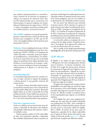 193
Inmunología de Rojas
Inmunidad
órganoespecífica
12
para explorar permanentemente su contenido y
tomar muestras de las bacterias no patógenas e
inducir una respuesta de tolerancia hacia ellas.
Las DCs plasmocitoides que se encuentran en la
lámina propia, al capturar antígenos son estimu-
ladas por linfopoyetina de origen tímico y TGF-β
y, viajan a los ganglios mesentéricos donde indu-
cen la diferenciación y activación de los LsT.
Møs y PMNS residentes en la pared intestinal fa-
gocitan y matan bacterias y extraen de ellas los Ags
proteicos para entregarlos a las DCs que los lle-
varán a los ganglios linfáticos del mesenterio para
presentarlos a los LsT.
Nodosoma Es un complejo proteico que se forma
por el estímulo de peptidoglucanos que al ser reco-
nocidos por NOD1 o NOD2 en el citoplasma de
células infectadas o estresadas, promueve respues-
tas proinflamatoria y antimicrobiana. El nodoso-
ma tiene la característica de que una vez formado
migra a la membrana de las células epiteliales, para
fortalecer el reconocimiento de lo propio y respe-
tarlo y reconocer ávidamente factores de patogeni-
cidad presentes en S. flexneri y E. coli entre otros
patógenos
Inmunidad adquirida
La inmunidad adquirida interviene cuando la in-
nata no logra controlar el ingreso de patógenos
y además generar Ls que guardan memoria del
evento nocivo.
El sistema inmune desarrolla tolerancia hacia
la microbiota intestinal para evitar el desarrollo de
la enfermedad inflamatoria intestinal. Bacteroides
fragilis induce en el colon el desarrollo de LsTreg
productores de IL-10 que inhiben los procesos in-
flamatorios locales y frenan la producción local de
IL-17 por efecto del polisacárido A que producen.
Nutrición y respuesta inmune
Cada vez se definen nuevas interacciones entre ali-
mentos y desarrollo de afecciones como diabetes,
enfermedades inflamatorias del intestino, esclero-
sis múltiple y asma.
Nuestro genoma cambia en 0.5% cada millón
de años. Las revoluciones agrícolas e industriales
han cambiado drásticamente nuestra nutrición sin
que hayan tenido lugar los cambios genéticos nece-
sarios para mejorar la respuesta inmune que contro-
le los nuevos patógenos, que con esos cambios en
la alimentación, han colonizados nuestras mucosas.
Por otra parte, hay alimentos que estimulan
el sistema inmune. De la vitamina A se genera el
ácido retinoico que induce la trasformación de Ls-
Treg en LsTfh y participa en la regulación de los
LsTh17. La Vitamina D retarda la maduración de
las DCs y disminuye la producción de citoquinas
proinflamatorias y frena la proliferación de los LsB
y su transformación en células plasmáticas.
La restricción calórica se acompaña de un in-
cremento de las células madres. El epitelio intesti-
nal es “el campeón” de la regeneración celular con
un ciclo de vida de menos de una semana.
Para el estudio de las alergias gastrointestinales
ver el cap. 35 y de las afecciones autoinmunes el 48.
12-IV Hígado
El hígado es un órgano de gran tamaño, pesa
1.500 gramos. Por estar estratégicamente ubicado
entre el intestino y el torrente circulatorio, sirve
de filtro de la sangre del sistema porta, desactiva
las toxinas que le llegan del tracto digestivo, meta-
boliza las macromoléculas y degrada las no pató-
genas y desarrolla tolerancia hacia las benéficas y
comensales. Su importancia en la modulación de
la tolerancia periférica no ha sido adecuadamente
apreciada. Por el hígado pasan 40 veces al día los 4
o 5 litros de sangre de un adulto.
El órgano está compuesto por un gran número
de lobulillos a los cuales llega una mezcla de sangre
de la vena porta y de la arteria hepática, sangre que
mesclada, pasa luego por una serie de senos y cana-
les para, ser “filtrada y tratada”, la resultante pasa a
la vena suprahepática para ingresar a la circulación
sistémica.
En el hígado hay unos senos sanguíneos for-
mados por una capa única de células endoteliales
con perforaciones, las LSEC, (liver sinusoidal en-
dothelial cells), sin lámina basal de soporte. Dentro
de estos senos se encuentran células de Kupffer,
DCs y NKTs. Al exterior de los senos están los
hepatocitos, separados de las células endoteliales
por el espacio de Dissé, dentro del cual hay unas
células en forma de estrella (figura 12-9). Veamos
qué funciones cumplen estas diferentes células.
 