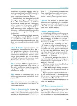 195
Inmunología de Rojas
Inmunidad
órganoespecífica
12
aceptación de los trasplantes de hígado, aun en au-
sencia de compatibilidad con el MHC, así como la
tolerancia a trasplantes de otros órganos o tejidos
que se hagan dentro del territorio esplénico.
Las moléculas de gran tamaño que lleguen del
sistema porta que no pasan por las perforaciones
de las LSEC son metabolizadas y los productos
de este proceso pasan al espacio de Dissé para es-
tablecer contacto con los hepatocitos. Las LSEC
cumplen funciones fagocíticas de partículas de pe-
queño tamaño y de cuerpos apoptóticos y ayudan
activamente a la defensa contra células tumorales a
las que inducen a la apoptosis por el óxido nítrico
que producen.
Las células endoteliales del hígado carecen de
selectinas P y E, así como de PECAM-I por lo cual
no hay “rodamiento” sobre ellas de los leucocitos
que circulan libremente en los senos a cuyas pare-
des se unen por medio de las moléculas ICAM-l
y VAP-l.
Células de Kupffer. Expresan receptores para:
complemento; inmunoglobulinas IgG e IgA; y
para varias lectinas. Producen, en forma constitu-
tiva, IL-10 con lo cual ayudan a crear un medio
antinflamatorio. Representan el grupo más nume-
rosas de células mieloides fagocíticas del organis-
mo. Una de las funciones más importantes es la de
destruir toxinas, bacterias, hongos y virus.
NKs. Constituyen el 50% de la población de cé-
lulas linfoides del hígado y su acción se dirige a la
destrucción de células que tengan “alteraciones de
lo propio” bien sea por infecciones virales o por
transformación maligna.
NKTs. Patrullan los sinusoides en busca de Ags
lipídicos a los que capturan por medio de sus re-
ceptores CD1.
DCs. Se encuentran en poca cantidad. Cumplen
la función de inducir tolerancia a los Ags que lle-
gan del tracto digestivo.
Células en forma de estrella. Participan acti-
vamente en los procesos inflamatorios atrayendo
PMNs y Møs al parénquima hepático por medio de
la producción de las quimioquinas CCL-l, CCL21,
RANTES y CCR5; inducen la liberación de mo-
léculas bactericidas, factores del complemento y
proteínas de la fase aguda de la inflamación como
proteína C reactiva y lectina ligadora de manosa.
Linfocitos. Hay presencia de distintas subpo-
blaciones pero en proporciones diferentes a las de
la sangre circulante. Los más abundantes son los
LsTαβ, LsB, y las NKs. Los LsTγδ son más abun-
dantes que en la sangre periférica.
El hígado y la respuesta inmune
La primera línea de defensa contra los microorga-
nismos y moléculas anormales que puedan llegar
del intestino está a cargo de células con capacidad
destructora como PMNs, Møs, NKs y DCs que a
través de sus PRRs capturan los microorganismos
al reconocer sus PAMPs.
El hígado, gracias al estímulo de IL-l, IL-6 y
TNF-α, participa en los procesos inflamatorios sis-
témicos por medio de la producción de las llama-
das “proteínas de la fase aguda de la inflamación”
entre las cuales están la proteína C reactiva, ami-
loide A y el factor C3 del complemento. La IL-6
induce además, la producción de ceruloplasmina,
fibrinógeno y α-1 antitripsina.
El hígado tiene la característica especial de
regenerarse después de una hepatectomía parcial,
regeneración que es orquestada por IL-6, TNF-α y
factores de crecimiento.
Infecciones crónicas por los virus de las hepa-
titis B y C suele producir cáncer.
La bilis posee sales que pueden matar varias
bacterias y atacar el recubrimiento lipídico de va-
rios virus.
Algunos parásitos como Plasmodium vivax y
los virus de las hepatitis B y C se las arreglan para
vivir por meses y aun indefinidamente, dentro de
las células hepáticas. Ver caps. 24 y 44.
Las afecciones autoinmunes del hígado se es-
tudian en el capítulo 44.
12-V Tracto genital femenino
La mucosa del tracto genital femenino está espe-
cialmente adaptada para facilitar funciones fisio-
lógicas esenciales como relaciones sexuales, mens-
truación, implantación de óvulos fecundados, em-
 