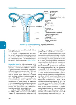 196
Inmunología de Rojas
Inmunidad
órganoespecífica
12
barazo y parto, conservando la función de defensa
contra las infecciones.
En la vagina y el exocervix hay una flora sapro-
fita normal y una actividad inmune importante en
defensa contra infecciones potenciales, frecuentes
por la proximidad al recto, y por gérmenes que pue-
dan llegar en las relaciones sexuales (figura 12-10).
Inmunidad innata. A lo largo de todo el tracto
genital femenino, como en las demás mucosas del
organismo, hay producción de defensinas. También
se secretan dos tipos de moléculas con funciones an-
tinflamatorias que disminuyen o evitan el daño que
un proceso inflamatorio desencadenado por una
infección, pudiera causar. Son ellas: SLPI (secreted
leucocyte protease inhibitor) y una inhibidora de la
elastasa de los PMNs, conocida como elafina, que
se encuentran en gran cantidad en la vagina, tapón
mucoso del cérvix, útero y trompas. Su producción
se incrementa en algunas fases del ciclo menstrual.
Están presentes en el líquido amniótico. Defectos
genéticos en la producción de­SLPI y elafin predis-
ponen al desarrollo de vaginitis y cervicitis.
Los TLRl, TLR3, TLR5 y TLR6 de la vagina,
los TLR3 y TLR4 de las trompas y los TLR3 y
TLR4 de los trofoblastos reconocen los PAMPs de
los patógenos que ingresan a estas partes del tracto
genital e inducen la producción de citoquinas.
Los distintos microambientes tienen caracte-
rísticas inmunes diferentes controladas por influ-
jos hormonales: a) el introito, zona de transición,
está cubierto por un epitelio estratificado escamo-
so, en donde las células del sistema inmune están
presentes en forma similar a como se encuentran
en la piel; b) la vagina, que está cubierta por un
epitelio estratificado, aglandular y no queratiniza-
do, cuenta con abundantes LsTCD8+ de memoria
y escasos LsB y DCs, subpoblaciones celulares que
se incrementan cuando se produce una vaginitis.
La vagina es especialmente susceptible a infeccio-
nes por Candida albicans y Trichomonas vaginalis;
c) el cérvix, es el sitio de mayor actividad de inmu-
nidad adquirida. Tanto en el ectocérvix como en
el endocérvix hay presencia de Ls TCD4 y TCD8
con capacidad citotóxica, así como de DCs. Esta
zona es especialmente vulnerable a infecciones por
VIH, vulnerabilidad que se incrementa con la pre-
sencia de algún proceso inflamatorio. El cérvix es
susceptible a infecciones por Chlamydia trachoma-
tis y Neisseria gonorrhoeae. En el endocérvix hay ac-
tividad de inmunidad humoral con la presencia de
células plasmáticas productoras de Acs IgA e IgG;
Figura 12-10. Tracto genital femenino. Principales características
de la respuesta inmune a diferentes niveles.
Epitelio ciliado
TLRs 3 y 4
LsT CD4
LsTreg
Células plasmáticas → Acs
Defensinas
Defensinas
SLP1
LsT CD4 y CD8
NKs
Canales linfáticos
Epitelio no queratinizado
TLRs 1, 3, 5, 6
Defensinas
Factor inhibidor de la
elastasa de los PMNs
LsT CD8
Defensinas
LsT CD4 y CD8
DCs
Células plasmáticas → IgA e IgG
Trompa
de Falopio
Ovario Endometrio
Vagina
Cérvix
 