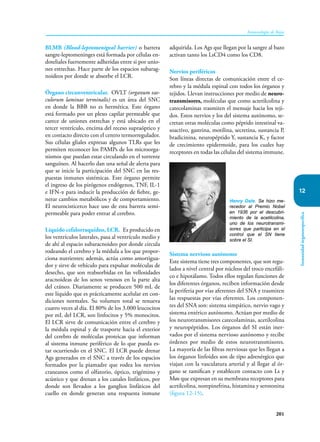 201
Inmunología de Rojas
Inmunidad
órganoespecífica
12
BLMB (Blood-leptomenigeal barrier) o barrera
sangre-leptomeninges está formada por células en-
doteliales fuertemente adheridas entre si por unio-
nes estrechas. Hace parte de los espacios subarag-
noideos por donde se absorbe el LCR.
Órgano circunventricular. OVLT (organum vas-
culorum laminae terminalis) es un área del SNC
en donde la BBB no es hermética. Este órgano
está formado por un plexo capilar permeable que
carece de uniones estrechas y está ubicado en el
tercer ventrículo, encima del receso supraóptico y
en contacto directo con el centro termorregulador.
Sus células gliales expresas algunos TLRs que les
permiten reconocer los PAMPs de los microorga-
nismos que puedan estar circulando en el torrente
sanguíneo. Al hacerlo dan una señal de alerta para
que se inicie la participación del SNC en las res-
puestas inmunes sistémicas. Este órgano permite
el ingreso de los pirógenos endógenos, TNF, IL-1
e IFN-α para inducir la producción de fiebre, ge-
nerar cambios metabólicos y de comportamiento.
El neurocisticerco hace uso de esta barrera semi-
permeable para poder entrar al cerebro.
Líquido cefalorraquídeo, LCR. Es producido en
los ventrículos laterales, pasa al ventrículo medio y
de ahí al espacio subaracnoideo por donde circula
rodeando el cerebro y la médula a los que propor-
ciona nutrientes; además, actúa como amortigua-
dor y sirve de vehículo para expulsar moléculas de
desecho, que son reabsorbidas en las vellosidades
aracnoideas de los senos venosos en la parte alta
del cráneo. Diariamente se producen 500 mL de
este líquido que es prácticamente acelular en con-
diciones normales. Su volumen total se renueva
cuatro veces al día. El 80% de los 3.000 leucocitos
por mL del LCR, son linfocitos y 5% monocitos.
El LCR sirve de comunicación entre el cerebro y
la médula espinal y de trasporte hacia el exterior
del cerebro de moléculas proteicas que informan
al sistema inmune periférico de lo que pueda es-
tar ocurriendo en el SNC. El LCR puede drenar
Ags generados en el SNC a través de los espacios
formados por la piamadre que rodea los nervios
craneanos como el olfatorio, óptico, trigémino y
acústico y que drenan a los canales linfáticos, por
donde son llevados a los ganglios linfáticos del
cuello en donde generan una respuesta inmune
adquirida. Los Ags que llegan por la sangre al bazo
activan tanto los LsCD4 como los CD8.
Nervios periféricos
Son líneas directas de comunicación entre el ce-
rebro y la médula espinal con todos los órganos y
tejidos. Llevan instrucciones por medio de neuro-
transmisores, moléculas que como actetilcolina y
catecolaminas trasmiten el mensaje hacia los teji-
dos. Estos nervios y los del sistema autónomo, se-
cretan otras moléculas como péptido intestinal va-
soactivo, gastrina, motilina, secretina, sustancia P,
bradicinina, neuropéptido Y, sustancia K, y factor
de crecimiento epidermoide, para los cuales hay
receptores en todas las células del sistema immune.
Sistema nervioso autónomo
Este sistema tiene tres componentes, que son regu-
lados a nivel central por núcleos del troco encefáli-
co e hipotálamo. Todos ellos regulan funciones de
los diferentes órganos, reciben información desde
la periferia por vías aferentes del SNA y trasmiten
las respuestas por vías eferentes. Los componen-
tes del SNA son: sistema simpático, nervio vago y
sistema entérico autónomo. Actúan por medio de
los neurotransmisores catecolaminas, acetilcolina
y neuropéptidos. Los órganos del SI están iner-
vados por el sistema nervioso autónomo y recibe
órdenes por medio de estos neurotransmisores.
La mayoría de las fibras nerviosas que les llegan a
los órganos linfoides son de tipo adrenérgico que
viajan con la vasculatura arterial y al llegar al ór-
gano se ramifican y establecen contacto con Ls y
Møs que expresan en su membrana receptores para
acetilcolina, norepinefrina, histamina y serotonina
(figura 12-15).
Henry Dale. Se hizo me-
recedor al Premio Nobel
en 1936 por el descubri-
miento de la acetilcolina,
uno de los neurotransmi-
sores que participa en el
control que el SN tiene
sobre el SI.
 