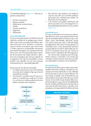 1
4
Inmunología de Rojas
Generalidades
y
definiciones
• Otra clase de L que maduran en la médula se
conocen como LB; al ser activados producen
anticuerpos (Ac), moléculas que ayudan a la
destrucción de los patógenos.
• L de memoria que guardan información del
primer encuentro con un microorganismo. La
inmunidad adquirida puede ser activa o pasiva
(figura 1-2).
Inmunidad activa
Es la que se desarrolla en el curso de una enferme-
dad infecciosa y de la cual se guarda memoria. Este
tipo de inmunidad explica la resistencia que se ad-
quiere contra enfermedades infecciosas, gracias
a la cual la persona que sufre la infección queda
protegida de por vida contra el mismo germen. La
inmunidad activa contra determinada infección,
se puede adquirir sin sufrir la enfermedad, por me-
dio de la vacunación contra ella, que “enseña” al
sistema inmune a defenderse del microorganismo.
Las vacunas están compuestas por microorga-
nismos muertos o inactivados o por toxinas que
estimulan al sistema inmune, pero que no produ-
cen enfermedad o si lo hacen, esta es subclínica.
Inmunidad pasiva
Es el proceso de defensa que se logra contra enfer-
medades infecciosas mediante el empleo de anti-
cuerpos protectores producidos en otro individuo
de la misma especie o de una especie diferente. Por
este método es posible evitar el desarrollo de una
enfermedad en una persona infectada cuyo sistema
inmune no ha tenido tiempo de desarrollar meca-
nismos de defensa o que carece de la posibilidad de
hacerlo. También posibilita tratar una infección en
curso para hacerla menos fuerte o duradera. Este
mecanismo es el responsable de la defensa del niño
la inmunidad adquirida (figura 1-1). Tiene los si-
guientes componentes:
• Factores constitutivos.
• Barreras naturales.
• Moléculas de reconocimiento.
• Células.
• Sistemas enzimáticos.
• Fagocitosis.
• Inflamación.
Inmunidad adquirida
Se inicia con la presentación a los linfocitos (Ls) de
moléculas extraídas de un patógeno para estimu-
larlos a que inicien una respuesta de defensa espe-
cífica contra este. Los Ls “aprenden” a reconocer y
atacar lo extraño en un proceso que toma de siete
a 10 días y gracias al cual desarrollan mecanismos
para destruir el patógeno. El L guarda memoria de
cómo activar esos mecanismos para lograr respon-
der de una manera más rápida, eficiente y especí-
fica contra el patógeno que entre por segunda vez
al organismo. Este tipo de inmunidad se conoce
también como específica. En este texto usaremos
la denominación de “inmunidad adquirida”.
Hacen parte de esta clase de inmunidad:
• Las células que presentan a los Ls las moléculas
conocidas como antígenos (Ag), que tienen la
capacidad de activarlos.
• Una clase de L conocidos como LT, que se ori-
ginan en la médula ósea, maduran en el timo
y se convierten en células productoras de mo-
léculas conocidas como citoquinas.
Figura 1-1. Clases de inmunidad.
Inmunidad innata
Reconoce
Destruye
Induce la inmunidad
adquirida o específica
Celular Humoral
Figura 1-2. Inmunidad adquirida.
INMUNIDAD ADQUIRIDA
ACTIVA Enfermedad
Vacunación
PASIVA Sueros inmunes
Perinatal
 