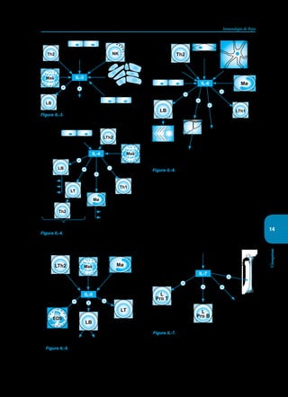 225
Inmunología de Rojas
Citoquinas
14
LB
Th2
+ +
IL-3
Hematopoyesis
Células epiteliales
del timo
Endotelio
Queratinocitos
NK
Mas
Figura IL-3. Es producida por los LsT activados por la
IL-2. Su principal función es estimular la hematopoyesis.
LTh2
Th1
LT
Th2
+
+
+
IL-4
IL-3, IL-4, IL-5, IL-9
G-CSF
M-CSF
↑HLA-II
IgE
IgG4
Endotelio
Mø
LB
Mas
Figura IL-4. Llamada también factor de proliferación de
los LsB. Es la citoquina que más estimula la producción
de Acs de la clase IgE y el desarrollo de LsTh2.
+
Maduración
↑IL-2R (CD25)
Diferenciación
en LsTctx
IgM IgA
LTh2
LB
LT
Mø
EOS
Mas
+ +
IL-5
Figura IL-5. Es el principal factor responsable del
crecimiento y diferenciación de Eos.
Diferenciación
LTh17 y LTh22
Proteínas de
la inflamación
Fiebre
IL-6
Endotelio
Estroma de la
médula ósea
Fibroblastos
Th2
Mø
+
+
+
+
LB LTh1
Figura IL-6. Estimula la secreción de Igs por parte de
los LsB transformándolos en células plasmáticas. Es
la principal citoquina inductora de la producción de las
proteínas de la fase aguda de la inflamación. Es antago-
nizada por el 17-beta estradiol. Su bloqueo está dando
resultados alentadores en el tratamiento de varias afec-
cione autoinmunes. Al faltar esta hormona se activa la
osteoclastogénesis generando osteoporosis.
+
Megacariocitos
Estimula IL-3
y GM-CSF
L
Pro T
L
Pro B
+ +
+
IL-7
Estroma de la
médula ósea y el timo
Figura IL-7. Es conocida también como linfopoyetina-1
porque actúa en la producción y maduración de linfoci-
tos. Es producida por las células del estroma de la me-
dula ósea. Induce la generación de la línea linfoide. Es
inhibida por TGF-β.
 