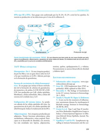 235
Inmunología de Rojas
Citoquinas
14
IFNs tipo III o IFNλ. Este grupo está conformado por las IL-28 e IL-29 a nivel de los epitelios. Es
notoria su producción en las infecciones por el virus de la influenza A.
Factor transformador del crecimiento, TGF-β1. Es una citoquina que hace parte de una nueva familia que parti-
cipa en la proliferación, diferenciación y apoptosis de varias clases de células. Es inhibidora tanto de LB como de LT,
DC y eosinófilos por lo cual se la considera antinflamatoria.
Producción de IgA
LB
Treg
LB
LT Mø
TGF β-1
Antinflamatorio
EOS
– – – – –
+
+
14-V Otras citoquinas
Osteopontina - Eta-1. Es una citoquina produci-
da por los Møs y con un gran efecto sobre los LsT
a los que transforma en LsTh1. Además participa
en la formación de granulomas.
Factores de crecimiento de células hematopoyé-
ticas. Es un grupo que incluye el factor estimula-
dor de la formación de colonias de granulocitos,
de monocitos y de ambos, G-CSF, M-CSF y GM-
CSF. Son producidos por LsB, células epiteliales,
fibroblastos, células endoteliales, Møs y células del
estroma de la médula ósea y LsT.
Linfopoyetina del estroma tímico. La produ-
cen además de las células epiteliales del timo, los
queratinocitos de la piel y las células epiteliales del
árbol bronquial. Induce la maduración de las DCs.
Adipocitoquinas. Son citoquinas producidas por
adipositos. Tienen funciones pleiotrópicas sobre
metabolismo, inflamación y masa corporal. Parti-
cipan en el desarrollo de obesidad y de anorexia.
Las más estudiadas son: leptina, adiponectina,
resistina, apelina, apolipoproteína E, y visfatina.
Frecuentemente se asocia al desarrollo de obesidad
y diabetes tipo2.
Lecturas recomendadas
*** Información sobre citoquinas. www.cope-
withcytokines.de/cope.cgi
*** Gene ID. LTB limphotoxin beta (TNF su-
perfamily), 4050, updated on Mar-2014.
*** Rose-John S. The biology of Interleukin-6
in the 21st
century. Seminars in Immunology,
26: 1, 2014.
*** Tanaka T, Nasashi M, Ogata A, Kishimoto
T. A new era for the treatment of inflamma-
tory autoinmune diseases by interleuquine-6
blockade strategy. Seminars in Immunology,
26: 88-96, 2014.
*** Crotta S et al. Type I and Type II interfer-
ons Drive Redundant Amplification Loops to
Induce a Transcrriptional Signature in Influ-
enza-Infected Airway Epithelia. Journal. Pat,
Nov 21, 2013.
***	Upadhyay V and Fu YX. Lymphotoxin sig-
nalling in immune homeostasis and the con-
 