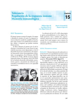 237
William Rojas M.
Luz Elena Cano R.
Luis Miguel Gómez O.
Beatriz Aristizábal B.
Damaris Lopera H.
Tolerancia
Regulación de la respuesta inmune
Memoria inmunológica
Capítulo
15
15-I Tolerancia
El sistema inmune reconoce lo propio y lo respeta
e identifica lo extraño y lo ataca. La respuesta in-
mune se desactiva cuando ha cumplido su función,
para evitar excesos en la producción de anticuer-
pos, células o citoquinas, que puedan ocasionar
efectos nocivos.
Se llama tolerancia al proceso por el cual se
eliminan o neutralizan los Ls que tienen la capa-
cidad de reaccionar contra Ags propios y evitar el
desarrollo de procesos autoinmunes y de respues-
tas innecesarias contra microorganismos comen-
sales o no patogénicos. En el humano, del 20%
al 50% de los TCRs y BCRs reconocen algunas
moléculas propias. No obstante, solo el 3% al 8%
de los humanos desarrolla enfermedades autoin-
munes, gracias a mecanismos de tolerancia que
controlan la actividad de estos Ls con capacidad
autorreactiva.
La tolerancia de los LsT y sLB a Ags propios
se genera primordialmente en los órganos lin-
foides primarios, timo y médula ósea, respecti-
vamente, proceso que se conoce como tolerancia
central. Los Ls que escapan a esta y entran a la
circulación, son controlados por mecanismos de
tolerancia periférica.
15-I-A Tolerancia central
De los LsT. Durante el proceso de maduración en
el timo los LsT con capacidad de reaccionar contra
Ags propios sufren procesos de selección positiva
y negativa, gracias a los cuales, se destruyen por
apoptosis. Ver sección 9-II-B y figura 9-4.
La expresión en el timo de Ags propios de
determinados órganos, es muy importante en la
selección y destrucción de LsT con capacidad de
reaccionar contra lo propio. Deficiente selección
negativa de Ags propios en el timo da origen a la
aparición de enfermedades autoinmunes a lo largo
de la vida del individuo. Las células epiteliales del
timo, en su sección medular, expresan un gene,
AIRE (autoinmune regulator gene) que controla
la expresión de Ags órgano-específicos, que de
no ser reconocidos oportunamente traen conse-
cuencias funestas porque permite el desarrollo de
síndromes especiales, uno de los cuales conocido
como APECED (autoimmunee polyendocrine sín-
drome with candidiasis and ectodermal dystrophy)
o poliendocrinopatía autoinmune que se puede
acompañar de alteraciones en tiroides, diabetes,
vitíligo, insuficiencia ovárica, hipogonadismo,
deficiencia endocrina del páncreas por deficien-
cia en la producción de elastasas. En casi todos
Peter Brian Medawar, (1915-1987). Premio Nobel de
1960 por haber demostrado que la tolerancia a lo propio
se genera durante la vida embrionaria. F. Macfarlane
Burnet (1899-1992). Premio Nobel de 1960 por el des-
cubrimiento de la tolerancia inmunológica. Compartió
el premio con Peter B. Medawar. Niels Jerne, (1911-
1994). Premio Nobel por proponer que todo individuo
posee Acs contra varios Ags antes del primer encuentro
con ellos. Introdujo el concepto de la red anti-diotípica.
 