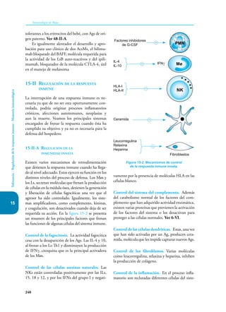 240
Inmunología de Rojas
Tolerancia.
-
Regulación
de
la
respuesta
inmune
-
Memoria
inmunológica
15
tolerantes a los eritrocitos del bebé, con Ags de ori-
gen paterno. Ver 48-II-A.
Es igualmente alentador el desarrollo y apro-
bación para uso clínico de dos AcsMs, el bilimu-
mab bloqueadr del BAFF, molécula requerida para
la actividad de los LsB auto-reactivos y del ipili-
mumab, bloqueador de la molécula CTLA-4, útil
en el manejo de melanoma
15-II Regulación de la respuesta
inmune
La interrupción de una respuesta inmune es ne-
cesaria ya que de no ser esta oportunamente con-
trolada, podría originar procesos inflamatorios
crónicos, afecciones autoinmunes, neoplasias y
aun la muerte. Veamos los principales sistemas
encargados de frenar la respuesta cuando ésta ha
cumplido su objetivo y ya no es necesaria para la
defensa del hospedero.
15-II-A Regulación de la
inmunidad innata
Existen varios mecanismos de retroalimentación
que detienen la respuesta inmune cuando ha llega-
do al nivel adecuado. Estos ejercen su función en los
distintos niveles del proceso de defensa. Los Møs y
los Ls, secretan moléculas que frenan la producción
de células en la médula ósea, detienen la generación
y liberación de células fagocíticas una vez que el
agresor ha sido controlado. Igualmente, los siste-
mas amplificadores, como complemento, kininas,
y coagulación, son desactivados cuando deja de ser
requerida su acción. En la figura 15-2 se presenta
un resumen de los principales factores que frenan
las funciones de algunas células del sistema inmune.
Control de la fagocitosis. La actividad fagocítica
cesa con la desaparición de los Ags. Las IL-4 y 10,
al frenar a los Ls-Th1 y disminuyen la producción
de IFNγ, citoquina que es la principal activadora
de los Møs.
Control de las células asesinas naturales. Las
NKs están controladas positivamente por las ILs,
15, 18 y 12, y por los IFNs del grupo I y negati-
vamente por la presencia de moléculas HLA en las
células blanco.
Control del sistema del complemento. Además
del catabolismo normal de los factores del com-
plemento que han adquirido actividad enzimática,
existen varias proteínas que previenen la activación
de los factores del sistema o los desactivan para
proteger a las células normales. Ver 6-VI.
Control de las células dendríticas. Estas, una vez
que han sido activadas por un Ag, producen cera-
mida, molécula que les impide capturar nuevos Ags.
Control de los fibroblastos. Varias moléculas
como leucorregulina, relaxina y heparina, inhiben
la producción de colágeno.
Control de la inflamación. En el proceso infla-
matorio son reclutadas diferentes células del siste-
Figura 15-2. Mecanismos de control
de la respuesta inmune innata.
PMN
Mø
NK
Factores inhibidores
de G-CSF
IL-4
IL-10
HLA-I
HLA-II
Ceramida
Fibroblastos
Leucorregulina
Relaxina
Heparina
IFNγ
 