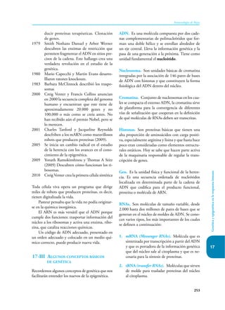253
Inmunología de Rojas
Genética
y
epigenética
en
la
respuesta
inmune
17
ducir proteínas terapéuticas. Clonación
de genes.
1979 Smith Nothans Danuel y Arbor Werner
descubren las enzimas de restricción que
permiten fragmentar el ADN en sitios pre-
cisos de la cadena. Este hallazgo crea una
verdadera revolución en el estudio de la
genética.
1980 Mario Capecchi y Martin Evans desarro-
lllaron ratones knockouts.
1983 Barbara McClintock describió los traspo-
somas
2000 Creig Venter y Francis Collins anuncian
en 2000 la secuencia completa del genoma
humano y encuentran que este tiene de
aproximadamente 20.000 genes y no
100.000 o más como se creía antes. No
han recibido aún el premio Nobel, pero se
lo merecen.
2001 Charles Tanford y Jacqueline Reynolds
descfriben a los mARN como maravillosos
robots que producen proteínas (2009).
2005 Se inicia un cambio radical en el estudio
de la herencia con los avances en el cono-
cimiento de la epigenética.
2009 Yonath Ramokinshnou y Thomas A Stitz
(2009) Descubren cómo funcionan los ri-
bosomas.
2010 Creig Venter crea la primera célula sintética
Toda célula viva opera un programa que dirige
miles de robots que producen proteínas, es decir,
tienen digitalizada la vida.
Pasteur pensaba que la vida no podía originar-
se en la química inorgánica.
El ARN es más versátil que el ADN porque
cumple dos funciones: trasportar información del
núcleo a los ribosomas y activa una enzima, ribo-
zina, que cataliza reacciones químicas.
Un código de ADN adecuado, presentado en
un orden adecuado y colocado en un medio quí-
mico correcto, puede producir nueva vida.
17-III Algunos conceptos básicos
de genética
Recordemos algunos conceptos de genética que nos
facilitarán entender los nuevos de la epigenética.
ADN. Es una molécula compuesta por dos cade-
nas complementarias de polinucleótidos que for-
man una doble hélice y se enrollan alrededor de
un eje central. Lleva la información genética y la
pasa de una generación a la próxima. Tiene como
unidad fundamental el nucleótido.
Nucleosoma. Son unidades básicas de cromatina
integradas por la asociación de 146 pares de bases
de ADN con histonas y que constituyen la forma
fisiológica del ADN dentro del núcleo.
Cromatina. Conjunto de nucleosomas en los cua-
les se compacta el extenso ADN, la cromatina sirve
de plataforma para la convergencia de diferentes
vías de señalización que cooperan en la definición
de qué moléculas de RNAs deben ser transcritas.
Histonas. Son proteínas básicas que tienen una
alta proporción de aminoácidos con carga positi-
va, especialmente arginina y lisina y que hasta hace
poco eran consideradas como elementos estructu-
rales estáticos. Hoy se sabe que hacen parte activa
de la maquinaria responsable de regular la trans-
cripción de genes.
Gen. Es la unidad física y funcional de la heren-
cia. Es una secuencia ordenada de nucleótidos
localizada en determinada parte de la cadena de
ADN que codifica para el producto funcional,
proteína o molécula de ARN.
RNAs. Son moléculas de tamaño variable, desde
2.000 hasta dos millones de pares de bases que se
generan en el núcleo de moldes de ADN. Se cono-
cen varios tipos, los más importantes de los cuales
se definen a continuación:
1. mRNA (Messenger RNAs). Molécula que es
sintetizada por transcripción a partir del ADN
y que es portadora de la información genética
que del núcleo sale al citoplasma y que es ne-
cesaria para la síntesis de proteínas.
2. tRNA (transfer RNAs). Moléculas que sirven
de molde para trasladar proteínas del núcleo
al citoplasma.
 