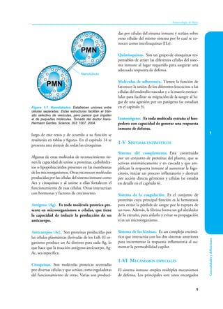 1
9
Inmunología de Rojas
Generalidades
y
definiciones
largo de este texto y de acuerdo a su función se
resaltarán en tablas y figuras. En el capítulo 14 se
presenta una síntesis de todas las citoquinas.
Algunas de estas moléculas de reconocimiento tie-
nen la capacidad de unirse a proteínas, carbohidra-
tos o lipopolisacáridos presentes en las membranas
de los microorganismos. Otras reconocen moléculas
producidas por las células del sistema inmune como
Acs y citoquinas y al unirse a ellas fortalecen el
funcionamiento de esas células. Otras interactúan
con hormonas y factores de crecimiento.
Antígeno (Ag). Es toda molécula proteica pre-
sente en microorganismos o células, que tiene
la capacidad de inducir la producción de un
anticuerpo.
Anticuerpos (Ac). Son proteínas producidas por
las células plasmáticas derivadas de los LsB. El or-
ganismo produce un Ac distinto para cada Ag, lo
que hace que la reacción antígeno-anticuerpo, Ag-
Ac, sea específica.
Citoquinas. Son moléculas proteicas secretadas
por diversas células y que actúan como reguladoras
del funcionamiento de otras. Varias son produci-
Figura 1-7. Nanotúbulos. Establecen uniones entre
células separadas. Estas estructuras facilitan el trán-
sito selectivo de vesículas, pero parece que impiden
el de pequeñas moléculas. Tomado del doctor Hans-
Hermann Gerdes. Science, 303: 1007, 2004.
PMN
PMN
Nanotúbulo
das por células del sistema inmune y actúan sobre
otras células del mismo sistema por lo cual se co-
nocen como interleuquinas (ILs).
Quimioquinas. Son un grupo de citoquinas res-
ponsables de atraer las diferentes células del siste-
ma inmune al lugar requerido para asegurar una
adecuada respuesta de defensa.
Moléculas de adherencia. Tienen la función de
favorecer la unión de los diferentes leucocitos a las
células del endotelio vascular y a la matriz extrace-
lular para facilitar su migración de la sangre al lu-
gar de una agresión por un patógeno (se estudian
en el capítulo 3).
Inmunógeno. Es toda molécula extraña al hos-
pedero con capacidad de generar una respuesta
inmune de defensa.
1-V Sistemas enzimáticos
Sistema del complemento. Está constituido
por un conjunto de proteínas del plasma, que se
activan enzimáticamente y en cascada y que am-
plifican la respuesta inmune al aumentar la fago-
citosis, iniciar un proceso inflamatorio y destruir
por acción directa gérmenes y células (se estudia
en detalle en el capítulo 6).
Sistema de la coagulación. Es el conjunto de
proteínas cuya principal función es la hemostasis
para evitar la pérdida de sangre por la ruptura de
un vaso. Además, la fibrina forma un gel alrededor
de lo extraño, para aislarlo y evitar su propagación
si es un microorganismo.
Sistema de las kininas. Es un complejo enzimá-
tico que interactúa con los dos sistemas anteriores
para incrementar la respuesta inflamatoria al au-
mentar la permeabilidad capilar.
1-VI Mecanismos especiales
El sistema inmune emplea múltiples mecanismos
de defensa. Los principales son: unos encargados
 