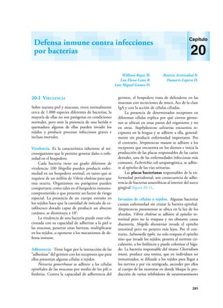 285
William Rojas M.
Luz Elena Cano R.
Luis Miguel Gómez O.
Beatriz Aristizábal B.
Damaris Lopera H.
Defensa inmune contra infecciones
por bacterias
Capítulo
20
20-I Virulencia
Sobre nuestra piel y mucosas, viven normalmente
cerca de 1.000 especies diferentes de bacterias, la
mayoría de ellas no son patógenas en condiciones
normales, pero ante la presencia de una herida o
quemadura algunas de ellas pueden invadir los
tejidos y producir procesos infecciosos graves e
incluso mortales.
Virulencia. Es la característica inherente al mi-
croorganismo que le permite generar daño o enfe-
redad en el hospedero.
Cada bacteria tiene un grado diferente de
virulencia: 100 Shigellas pueden producir enfer-
medad en un hospedero normal, en tanto que se
requiere de un millón de Vibrio cholerae para que
esta ocurra. Organismos no patógenos pueden
comportarse como tales en el hospedero inmuno-
comprometido o que presente un factor de riesgo
especial. La presencia de un cuerpo extraño en
los tejidos hace que la cantidad de inóculo de es-
tafilococo dorado capaz de producir un absceso
cutáneo, se disminuya a 103
.
La virulencia de una bacteria puede estar rela-
cionada con su capacidad de adherirse a la piel o
las mucosas, penetrar estas barreras, multiplicarse
en los tejidos, u oponerse a los mecanismos de de-
fensa inmune.
Adherencia. Tiene lugar por la interacción de las
“adhesinas” del germen con los receptores que para
ellos presentan algunas células o tejidos.
Neisseria gonorrhoeae se adhiere a las células
epiteliales de las mucosas por medio de los pili o
fimbrias. Contra la capacidad de adherencia del
germen, el hospedero trata de defenderse en las
mucosas con secreciones de moco, Acs de la clase
IgA y con la acción de células ciliadas.
La presencia de determinados receptores en
diferentes células explica por qué ciertos gérme-
nes se ubican en unas partes del organismo y no
en otras. Staphylococcus salivarius encuentra re-
ceptores en la lengua y se adhiere a ella, general-
mente sin producir enfermedad importante. Por
el contrario, Streptococcus mutans se adhiere a los
receptores que encuentra en los dientes e inicia la
producción de las placas responsables de las caries
dentales, una de las enfermedades infecciosas más
comunes. Escherichia coli uropatogénica, se adhie-
re al epitelio de las vías urinarias.
Las placas bacterianas responsables de la en-
fermedad periodontal, son consecuencia de adhe-
rencia de bacterias anaeróbicas al interior del surco
gingival (figura 20-1).
Invasión de células o tejidos. Algunas bacterias
causan enfermedad sin cruzar la barrera epitelial.
Streptococcus pneumoniae se ubica en la luz de los
alveolos. Vibrio cholerae se adhiere al epitelio in-
testinal pero no lo traspasa y no obstante causa
disentería. Shigella disenteriae invade el epitelio
intestinal pero no penetra más lejos. Por el con-
trario, Salmonella typhi, no solo traspasa el epitelio
sino que invade los tejidos, penetra al torrente cir-
culatorio, a los linfáticos y puede colonizar el híga-
do. La bacteria responsable del tétano Clostridium
tetani, produce una toxina, que en individuos no
inmunizados, se difunde a los tejidos para llegar a
los nervios y por vía retrógrada, ascender por ellos
al cuerpo de las neuronas en donde bloque la pro-
ducción de varios inhibidores de neurotrasmisores
 