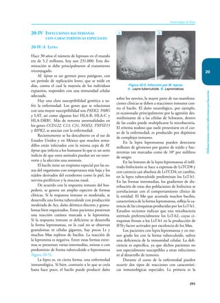 291
Inmunología de Rojas
Defensa
inmune
contra
infecciones
por
bacterias
20
20-IV Infecciones bacterianas
con características especiales
20-IV-A Lepra
Hace 30 años el número de leprosos en el mundo
era de 5.2 millones, hoy son 231,000. Esta dis-
minución se debe principalmente al tratamiento
triconjugado.
M. leprae es un germen poco patógeno, con
un período de replicación lento, que se mide en
días, contra el cual la mayoría de los individuos
expuestos, responden con una inmunidad celular
adecuada.
Hay una clara susceptibilidad genética a su-
frir la enfermedad. Los genes que se relacionan
con una mayor susceptibilidad son PAEK2, PARG
y LAT, así como algunos loci HLA-B, HLA-C y
HLA-DRB1. Más de noventa anormalidades en
los genes CCD122, C13, C31, NOD2, TNFSF15
y RIPK2, se asocian con la enfermedad.
Recientemente se ha descubierto en el sur de
Estados Unidos y en México que muchos arma-
dillos están infectados con la misma cepa de M.
leprae que infecta a los humanos lo que es un serio
indicio de que estos animales puedan ser un reser-
vorio y la afección una zoonosis.
El bacilo tiene un tropismo especial por las zo-
nas del organismo con temperatura más baja y los
tejidos derivados del ectodermo como la piel, los
nervios periféricos y la mucosa nasal.
De acuerdo con la respuesta inmune del hos-
pedero, se genera un amplio espectro de formas
clínicas. Si la respuesta inmune es moderada, se
desarrolla una forma tuberculoide con producción
moderada de Acs, daño dérmico discreto y granu-
lomas bien organizados. Estos pacientes presentan
una reacción cutánea marcada a la lepromina.
Si la respuesta inmune es deficiente se desarrolla
la forma lepromatosa, en la cual no se observan
granulomas ni células gigantes, hay pocos Ls y
muchos Møs repletos de bacilos. La reacción de
la lepromina es negativa. Entre estas formas extre-
mas se presentan varias intermedias, mixtas o con
predominio de forma tuberculoide o lepromatosa
(figura 20-5).
La lepra es, en cierta forma, una enfermedad
inmunológica. Si bien, contrario a lo que se creía
hasta hace poco, el bacilo puede producir daño
sobre los nervios, la mayor parte de sus manifesta-
ciones clínicas se deben a reacciones inmunes con-
tra el bacilo. El daño neurológico, por ejemplo,
es ocasionado principalmente por la agresión des-
mielinizante de a las células de Schwann, dentro
de las cuales puede multiplicarse la micobacteria.
El eritema nodoso que suele presentarse en el cur-
so de la enfermedad, es producido por depósitos
de complejos inmunes.
En la lepra lepromatosa pueden detectarse
millones de gérmenes por gramo de tejido y bac-
teremias tan marcadas como de 106
por mililitro
de sangre.
En las lesiones de la lepra lepromatosa el infil-
trado linfocitario se hace a expensas de LsTCD8 y
con carencia casi absoluta de LsTCD4; en cambio,
en la lepra tuberculoide predominan los LsT-h1.
En las formas intermedias, los gradientes de dis-
tribución de estas dos poblaciones de linfocitos se
correlacionan con el comportamiento clínico de
la entidad. El Mø que acumula muchos bacilos,
característica de la forma lepromatosa, refleja la ca-
rencia de las citoquinas producidas por los LsT-h1.
Estudios recientes indican que esta micobacteria
estimula preferencialmente los LsT-h2, cuyas ci-
toquinas frenan a los LsT-h1 en la producción de
IFNγ factor activador por excelencia de los Møs.
Los pacientes con lepra lepromatosa y en me-
nor grado los con la forma tuberculoide, sufren
una deficiencia de la inmunidad celular. La defi-
ciencia es específica, ya que dichos pacientes no
son especialmente susceptibles a otras infecciones
ni al desarrollo de tumores.
Durante el curso de la enfermedad pueden
ocurrir dos tipos de reacciones con característi-
cas inmunológicas especiales. La primera es la
Figura 20-5. Infección por M. leprae.
A. Lepra tuberculoide. B. Lepromatosa.
A B
 