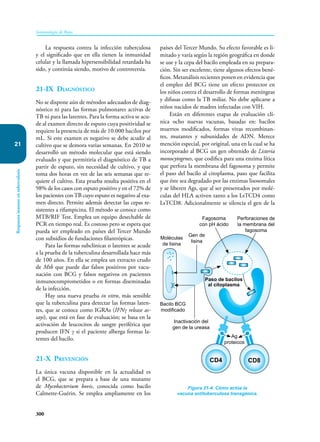 300
Inmunología de Rojas
Respuesta
inmune
en
tuberculosis
21
La respuesta contra la infección tuberculosa
y el significado que en ella tienen la inmunidad
celular y la llamada hipersensibilidad retardada ha
sido, y continúa siendo, motivo de controversia.
21-IX Diagnóstico
No se dispone aún de métodos adecuados de diag-
nóstico ni para las formas pulmonares activas de
TB ni para las latentes. Para la forma activa se acu-
de al examen directo de esputo cuya positividad se
requiere la presencia de más de 10.000 bacilos por
mL. Si este examen es negativo se debe acudir al
cultivo que se demora varias semanas. En 2010 se
desarrolló un método molecular que está siendo
evaluado y que permitiría el diagnóstico de TB a
partir de esputo, sin necesidad de cultivo, y que
toma dos horas en vez de las seis semanas que re-
quiere el cultivo. Esta prueba resulta positiva en el
98% de los casos con esputo positivo y en el 72% de
los pacientes con TB cuyo esputo es negativo al exa-
men directo. Permite además detectar las cepas re-
sistentes a rifampicina. El método se conoce como
MTB/RIF Test. Emplea un equipo desechable de
PCR en tiempo real. Es costoso pero se espera que
pueda ser empleado en países del Tercer Mundo
con subsidios de fundaciones filantrópicas.
Para las formas subclínicas o latentes se acude
a la prueba de la tuberculina desarrollada hace más
de 100 años. En ella se emplea un extracto crudo
de Mtb que puede dar falsos positivos por vacu-
nación con BCG y falsos negativos en pacientes
inmunocomprometidos o en formas diseminadas
de la infección.
Hay una nueva prueba in vitro, más sensible
que la tuberculina para detectar las formas laten-
tes, que se conoce como IGRAs (IFNγ release as-
says), que está en fase de evaluación; se basa en la
activación de leucocitos de sangre periférica que
producen IFN γ si el paciente alberga formas la-
tentes del bacilo.
21-X Prevención
La única vacuna disponible en la actualidad es
el BCG, que se prepara a base de una mutante
de Mycobacterium bovis, conocida como bacilo
Calmette-Guérin. Se emplea ampliamente en los
países del Tercer Mundo. Su efecto favorable es li-
mitado y varía según la región geográfica en donde
se use y la cepa del bacilo empleada en su prepara-
ción. Sin ser excelente, tiene algunos efectos bené-
ficos. Metanálisis recientes ponen en evidencia que
el empleo del BCG tiene un efecto protector en
los niños contra el desarrollo de formas meníngeas
y difusas como la TB miliar. No debe aplicarse a
niños nacidos de madres infectadas con VIH.
Están en diferentes etapas de evaluación clí-
nica ocho nuevas vacunas, basadas en: bacilos
muertos modificados, formas vivas recombinan-
tes, mutantes y subunidades de ADN. Merece
mención especial, por original, una en la cual se ha
incorporado al BCG un gen obtenido de Listeria
monocytogenes, que codifica para una enzima lítica
que perfora la membrana del fagosoma y permite
el paso del bacilo al citoplasma, paso que facilita
que éste sea degradado por las enzimas lisosomales
y se liberen Ags, que al ser presentados por molé-
culas del HLA activen tanto a los LsTCD4 como
LsTCD8. Adicionalmente se silencia el gen de la
Figura 21-4. Cómo actúa la
vacuna antituberculosa transgénica.
Fagosoma
con pH ácido
Perforaciones de
la membrana del
fagosoma
Gen de
lisina
Bacilo BCG
modificado
Inactivación del
gen de la ureasa
Ag
proteicos
Paso de bacilos
al citoplasma
Moléculas
de lisina
CD4 CD8
 