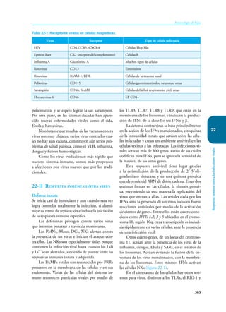 303
Inmunología de Rojas
Respuesta
inmune
contra
las
infecciones
virales
22
poliomielitis y se espera lograr la del sarampión.
Por otra parte, en las últimas décadas han apare-
cido nuevas enfermedades virales como el sida,
Ébola y hantavirus.
No obstante que muchas de las vacunas contra
virus son muy eficaces, varios virus contra los cua-
les no hay aun vacuna, constituyen aún serios pro-
blemas de salud pública, como el VIH, influenza,
dengue y fiebres hemorrágicas.
Como los virus evolucionan más rápido que
nuestro sistema inmune, somos más propensos
a afecciones por virus nuevos que por los tradi-
cionales.
22-II Respuesta inmune contra virus
Defensa innata
Se inicia casi de inmediato y aun cuando rara vez
logra controlar totalmente la infección, si dismi-
nuye su ritmo de replicación e induce la iniciación
de la respuesta inmune específica.
Las defensinas protegen contra varios virus
que intenten penetrar a través de membranas.
Los PMNs, Mons, DCs, NKs alertan contra
la presencia de un virus e inician el ataque con-
tra ellos. Las NKs son especialmente útiles porque
contienen la infección viral hasta cuando los LsB
y LsT sean alertados, sirviendo de puente entre las
respuestas inmunes innata y adquirida.
Los PAMPs virales son reconocidos por PRRs
presentes en la membrana de las células y en sus
endosomas. Varias de las células del sistema in-
mune reconocen partículas virales por medio de
los TLR3, TLR7, TLR8 y TLR9, que están en la
membrana de los lisosomas, e inducen la produc-
ción de IFNs de la clase I o sea IFNα y β.
La defensa contra virus se basa principalmente
en la acción de los IFNs mencionados, citoquinas
de la inmunidad innata que actúan sobre las célu-
las infectadas y crean un ambiente antiviral en las
células vecinas a las infectadas. Las infecciones vi-
rales activan más de 300 genes, varios de los cuales
codifican para IFNs, pero se ignora la actividad de
la mayoría de los otros genes.
Esta respuesta antiviral tiene lugar gracias
a la estimulación de la producción de 2´-5´oli-
goadenilato sintetaza, y de una quinasa proteica
que depende del ARN de doble cadena. Estas dos
enzimas frenan en las células, la síntesis protei-
ca, previniendo de esta manera la replicación del
virus que entran a ellas. Las señales dada por los
IFNs ante la presencia de un virus inducen fuerte
reacciones antivirales por medio de la activación
de cientos de genes. Entre ellos están cuatro cono-
cidos como IFITs 1,2, 3 y 5 ubicados en el cromo-
soma 10, región 10q, cuya transcripción es induci-
da rápidamente en varias células, ante la presencia
de una infección viral.
Otros cuatro genes, de un locus del cromoso-
ma 11, actúan ante la presencia de los virus de la
influenza, dengue, Ebola y SARs, en el interior de
los lisosomas. Actúan evitando la fusión de la en-
voltura de los virus mencionados, con la membra-
na de los lisosomas. Estos mismos IFNs activan
las células NKs (figura 22-1).
En el citoplasma de las células hay otros sen-
sores para virus, distintos a los TLRs, el RIG-1 y
Tabla 22-1. Receptores virales en células hospederas.
Virus Receptor Tipo de célula infectada
HIV CD4,CCR5, CXCR4 Células Th y Mø
Epstein-Barr CR2 (receptor del complemento) Células B
Influenza A Glicoforina A Muchos tipos de células
Rotavirus CD13 Enterocitos
Rinovirus ICAM-1, LDR Células de la mucosa nasal
Poliovirus CD115 Células gastrointestinales, neuronas, otras
Sarampión CD46, SLAM Células del árbol respiratorio, piel, otras
Herpes virus 6 CD46 LT CD4+
 