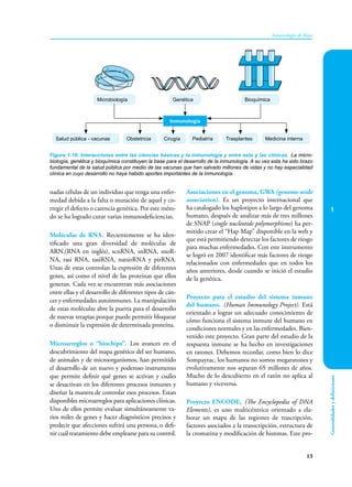 1
13
Inmunología de Rojas
Generalidades
y
definiciones
Figura 1-10. Interacciones entre las ciencias básicas y la inmunología y entre esta y las clínicas. La micro-
biología, genética y bioquímica constituyen la base para el desarrollo de la inmunología. A su vez esta ha sido brazo
fundamental de la salud pública por medio de las vacunas que han salvado millones de vidas y no hay especialidad
clínica en cuyo desarrollo no haya habido aportes importantes de la inmunología.
Pediatría Trasplantes Medicina interna
Salud pública - vacunas Cirugía
Obstetricia
Inmunología
Microbiología Bioquímica
Genética
nadas células de un individuo que tenga una enfer-
medad debida a la falta o mutación de aquel y co-
rregir el defecto o carencia genética. Por este méto-
do se ha logrado curar varias inmunodeficiencias.
Moléculas de RNA. Recientemente se ha iden-
tificado una gran diversidad de moléculas de
ARN,(RNA en inglés), scnRNA, snRNA, snoR-
NA, rasi RNA, tasiRNA, natsirRNA y pirRNA.
Unas de estas controlan la expresión de diferentes
genes, así como el nivel de las proteínas que ellos
generan. Cada vez se encuentran más asociaciones
entre ellas y el desarrollo de diferentes tipos de cán-
cer y enfermedades autoinmunes. La manipulación
de estas moléculas abre la puerta para el desarrollo
de nuevas terapias porque puede permitir bloquear
o disminuir la expresión de determinada proteína.
Microarreglos o “biochips”. Los avances en el
descubrimiento del mapa genético del ser humano,
de animales y de microorganismos, han permitido
el desarrollo de un nuevo y poderoso instrumento
que permite definir qué genes se activan y cuáles
se desactivan en los diferentes procesos inmunes y
diseñar la manera de controlar esos procesos. Estan
disponibles microarreglos para aplicaciones clínicas.
Uno de ellos permite evaluar simultáneamente va-
rios miles de genes y hacer diagnósticos precisos y
predecir que afecciones sufrirá una persona, o defi-
nir cuál tratamiento debe emplearse para su control.
Asociaciones en el genoma, GWA (genome-wide
association). Es un proyecto internacional que
ha catalogado los haplotipos a lo largo del genoma
humano, después de analizar más de tres millones
de SNAP (single nucleotide polymorphisms) ha per-
mitido crear el “Hap Map” disponible en la web y
que está permitiendo detectar los factores de riesgo
para muchas enfermedades. Con este instrumento
se logró en 2007 identificar más factores de riesgo
relacionados con enfermedades que en todos los
años anteriores, desde cuando se inició el estudio
de la genética.
Proyecto para el estudio del sistema inmune
del humano. (Human Immunology Project). Está
orientado a lograr un adecuado conocimiento de
cómo funciona el sistema inmune del humano en
condiciones normales y en las enfermedades. Bien-
venido este proyecto. Gran parte del estudio de la
respuesta inmune se ha hecho en investigaciones
en ratones. Debemos recordar, como bien lo dice
Sompayrac, los humanos no somos megaratones y
evolutivamente nos separan 65 millones de años.
Mucho de lo descubierto en el ratón no aplica al
humano y viceversa.
Proyecto ENCODE, (The Encyclopedia of DNA
Elements), es uno multicéntrico orientado a ela-
borar un mapa de las regiones de trascripción,
factores asociados a la transcripción, estructura de
la cromatina y modificación de histonas. Este pro-
 