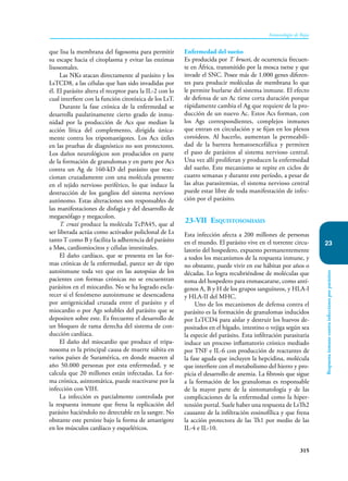 315
Inmunología de Rojas
Respuesta
inmune
contra
infecciones
por
parásitos
23
que lisa la membrana del fagosoma para permitir
su escape hacia el citoplasma y evitar las en­
zimas
lisosomales.
Las NKs atacan directamente al parásito y los
LsTCD8, a las células que han sido invadidas por
él. El parásito altera el receptor para la IL-2 con lo
cual interfiere con la función citotóxica de los LsT.
Durante la fase crónica de la enfermedad se
desarrolla­paulatinamente cierto grado de inmu-
nidad por la producción de Acs que median la
acción lítica del complemento, dirigida única-
mente contra los tripomastigotes. Los Acs útiles
en las pruebas de diagnóstico no son protectores.
Los daños neurológicos son producidos en parte
de la formación de granulomas y en parte por Acs
contra un Ag de 160-kD del parásito que reac-
cionan cruzadamente con una molécula presente
en el tejido nervioso periférico, lo que induce la
destrucción de los ganglios del sistema nervioso
autónomo. Estas alteraciones son responsables de
las manifestaciones de disfagia y del desarrollo de
megaesófago y megacolon.
T. cruzi produce la molécula TcPA45, que al
ser liberada actúa como activador policlonal de Ls
tanto T como B y facilita la adherencia del parásito
a Møs, cardiomiocitos y células intestinales.
El daño cardíaco, que se presenta en las for-
mas crónicas de la enfermedad, parece ser de tipo
autoinmune toda vez que en las autopsias de los
pacientes con formas crónicas no se encuentran
parásitos en el miocardio. No se ha logrado escla-
recer si el fenómeno autoinmune se desencadena
por antigenicidad cruzada entre el parásito y el
miocardio o por Ags solubles del parásito que se
depositen sobre este. Es frecuente el desarrollo de
un bloqueo de rama derecha del sistema de con-
ducción cardíaca.
El daño del miocardio que produce el tripa-
nosoma es la principal causa de muerte súbita en
varios países de Suramérica, en donde mueren al
año 50.000 personas por esta enfermedad, y se
calcula que 20 millones están infectadas. La for-
ma crónica, asinto­
mática, puede reactivarse por la
infección con VIH.
La infección es parcialmente controlada por
la respuesta inmune que frena la replicación del
parásito haciéndolo no detectable en la sangre. No
obstante este persiste bajo la forma de amastigote
en los músculos cardíaco y esqueléticos.
Enfermedad del sueño
Es producida por T. brucei, de ocurrencia frecuen-
te en África, transmitido por la mosca tsetse y que
invade el SNC. Posee más de 1.000 genes diferen-
tes para producir moléculas de membrana lo que
le permite burlarse del sistema inmune. El efecto
de defensa de un Ac tiene corta duración porque
rápidamente cambia el Ag que requiere de la pro-
ducción de un nuevo Ac. Estos Acs forman, con
los Ags correspondientes, complejos inmunes
que entran en circulación y se fijan en los plexos
coroideos. Al hacerlo, aumentan la permeabili-
dad de la barrera hematoencefálica y permiten
el paso de parásitos al sistema nervioso central.
Una vez allí proliferan y producen la enfermedad
del sueño. Este mecanismo se repite en ciclos de
cuatro se­
manas y durante este período, a pe­­
sar de
las altas parasitemias, el sistema ner­
vioso central
puede estar libre de toda manifestación de infec-
ción por el parásito.
23-VII Esquistosomiasis
Esta infección afecta a 200 millones de personas
en el mundo. El parásito vive en el torrente circu-
latorio del hospedero, expuesto permanentemente
a to­
dos los mecanismos de la respuesta inmune, y
no obstante, puede vivir en ese hábitat por años o
décadas. Lo logra recubriéndose de moléculas que
toma del hospedero para enmascararse, como antí-
genos A, B y H de los grupos sanguíneos, y HLA-I
y HLA-II del MHC.
Uno de los mecanismos de defensa contra el
parásito es la formación de granulomas inducidos
por LsTCD4 para aislar y destruir los huevos de-
positados en el hígado, intestino o vejiga según sea
la especie del parásito. Esta infiltración parasitaria
induce un proceso inflamatorio crónico mediado
por TNF e IL-6 con producción de reactantes de
la fase aguda que incluyen la hepcidina, molécula
que interfiere con el metabolismo del hierro y pro-
picia el desarrollo de anemia. La fibrosis que sigue
a la formación de los gra­
nulomas es responsable
de la mayor parte de la sintomatología y de las
complicaciones de la en­
fermedad como la hiper-
tensión portal. Suele haber una respuesta de LsTh2
causante de la infiltración eosinofílica y que frena
la acción protectora de las Th1 por medio de las
IL-4 e IL-10.
 