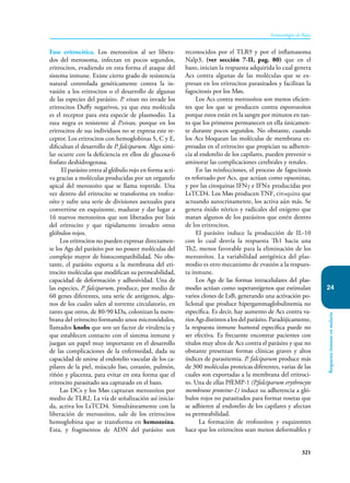 321
Inmunología de Rojas
Respuesta
inmune
en
malaria
24
Fase eritrocítica. Los merozoítos al ser libera-
dos del merosoma, infectan en pocos segundos,
eritrocitos, evadiendo en esta forma el ataque del
sistema inmune. Existe cierto grado de resistencia
natural controlada genéticamente contra la in-
vasión a los eritrocitos o el desarrollo de algunas
de las especies del parásito. P. vivax no invade los
eritrocitos Duffy negativos, ya que esta molécula
es el receptor para esta especie de plasmodio. La
raza negra es resistente al P.vivax, porque en los
eritrocitos de sus individuos no se expresa este re-
ceptor. Los eritrocitos con hemoglo­
binas S, C y E,
dificultan el desarrollo de P. falciparum. Algo simi-
lar ocurre con la deficiencia en ellos de glucosa-6
fosfato deshidrogenasa.
El parásito entra al glóbulo rojo en forma acti-
va gracias a moléculas producidas por un organelo
apical del merozoíto que se llama roptride. Una
vez dentro del eritrocito se transforma en trofoz-
oíto y sufre una serie de divisiones asexuales para
convertirse en es­
quizonte, madurar y dar lugar a
16 nuevos merozoitos que son liberados por lisis
del eritrocito y que rápidamente invaden otros
glóbulos rojos.
Los eritrocitos no pueden expresar directamen-
te los Ags del parásito por no poseer moléculas del
complejo mayor de histocompatibilidad. No obs-
tante, el parásito exporta a la membrana del eri-
trocito moléculas que modifican su permeabilidad,
capacidad de deformación y adhesividad. Una de
las especies, P. falciparum, produce, por medio de
60 genes diferentes, una serie de antígenos, algu-
nos de los cuales salen al torrente circulatorio, en
tanto que otros, de 80-90 kDa, co­
lonizan la mem-
brana del eritrocito formando unos micronódulos,
llamados knobs que­son un factor de virulencia y
que establecen contacto con el sistema inmune y
juegan un papel muy importante en el desarrollo
de las complicaciones de la enfermedad, dada su
capacidad de unirse al endotelio vascular de los ca-
pilares de la piel, músculo liso, corazón, pulmón,
riñón y placenta, para evitar en esta forma que el
eritrocito parasitado sea capturado en el bazo.
Las DCs y los Møs capturan merozoítos por
medio de TLR2. La vía de señalización así inicia-
da, activa los LsTCD4. Simultáneamente con la
liberación de merozoitos, sale de los eritrocitos
hemoglobina que se transforma en hemozoína.
Esta, y fragmentos de ADN del parásito son
reconocidos por el TLR9 y por el inflamasoma
Nalp3, (ver sección 7-II, pag. 80) que en el
bazo, inician la respuesta adquirida lo cual genera
Acs contra algunas de las moléculas que se ex-
presan en los eritrocitos parasitados y facilitan la
fagocitosis por los Møs.
Los Acs contra merozoítos son menos eficien-
tes que los que se producen contra esporozoítos
porque estos están en la sangre por minutos en tan-
to que los primeros permanecen en ella únicamen-
te durante pocos segundos. No obstante, cuando
los Acs bloquean las moléculas de membrana ex-
presadas en el eritrocito que propician su adheren-
cia al endotelio de los capilares, pueden prevenir o
aminorar las complicaciones cerebrales y renales.
En las reinfecciones, el proceso de fagocitosis
es reforzado por Acs, que actúan como opsoninas,
y por las citoquinas IFNγ e IFNα producidas por
LsTCD4. Los Møs producen TNF, citoquina que
actuando autocrinamente, los activa aún más. Se
genera óxido nítrico y radicales del oxígeno que
matan algunos de los parásitos que estén dentro
de los eritrocitos.
El parásito induce la producción de IL-10
con lo cual desvía la respuesta Th1 hacia una
Th2, menos favorable para la eliminación de los
merozoítos. La variabilidad antigénica del plas-
modio es otro mecanismo de evasión a la respues-
ta inmune.
Los Ags de las formas intracelulares del plas-
modio actúan como superantígenos que estimulan
varios clones de LsB, generando una activación po-
liclonal que produce hiperga­m­ma­glo­bu­linemia no
específica. Es decir, hay aumento de Acs contra va-
riosAgsdistintosalosdelparásito.Paradójicamente­,
la respuesta inmune humoral específica puede no
ser efectiva. Es frecuente encontrar pacientes con
títulos muy altos de Acs contra el parásito y que no
obstante presentan formas clínicas graves y altos
índices de parasitemia. P. falciparum produce más
de 300 moléculas proteicas diferentes, varias de las
cuales son exportadas a la membrana del eritroci-
to. Una de ellas PfEMP-1 (P.falciparum erythrocyte
membrane proteine-1) induce su adherencia a gló-
bulos rojos no parasitados para formar rosetas que
se adhieren al endotelio de los capilares y afectan
su permeabilidad.
La formación de trofozoítos y esquizontes
hace que los eritrocitos sean menos deformables y
 