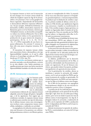 328
Inmunología de Rojas
25
Respuesta
inmune
en
las
infecciones
por
hongos
La respuesta inmune se inicia con la interacción
de estos hongos con el estrato córneo donde las
células de Lang­
hans captan los Ags de los derma-
tofitos y los presentan a los L en los ganglios lin-
fáticos regionales. Dependiendo del dermatofito
se desencadenan diferentes respuestas inflamato-
rias. Así por ejemplo, Arthroderma benhamiae, un
dermatofito zoofílico, desencadena respuestas in-
flamatorias graves en el ser humano, mientras que
Trichophyton tonsuras, un dermatofito antropofíli-
co, induce una mínima inflamación. Esto se debe
a que el primero induce en los queratinocitos la
producción de un gran número de citoquinas y
quimioquinas, (IL-1β, -2, -4, -6, -10,- 13,-15,
-16, -17 e IFNγ) responsables de una fuerte res-
puesta inflamatoria. En contraste T. tonsuras in-
duce sólo unas pocas citoquinas (eotaxina, IL-8
e IL-16).
El mecanismo de respuesta inmune celular
más característico frente a dermatofitos es de tipo
hipersensibilidad retardada, en el cual la célula
efectora es el macrófago activado por IFN-g pro-
ducido por LT CD4+ tipo Th1.
Las dermatitides son lesiones cutáneas que se
presentan asociadas a una dermatofito­
sis, y ocurren
en un sitio alejado a ésta. Suelen presentarse en
aquellas personas que tienen una fuerte reacción de
hipersensibilidad retardada a la infección micótica.
25-VI Aspergilosis y zigomicosis
Los humanos pode-
mos inhalar cientos
de conidias diaria-
mente; sin embargo,
la mayoría de las per-
sonas no desarrolla-
mos la enfermedad,
ni presentamos evidencia de una respuesta inmune
adquirida contra los hongos del género Aspergillus
spp., o de los zigomicetos. Esto sugiere que, en
condiciones normales, la respuesta inmune innata
es suficiente para controlar este tipo de infecciones.
Así, la defensa inmune contra estos microorganis-
mos involucra varios componentes innatos como:
células, mediadores, y moléculas con actividad.
La aspergilosis es la infección micótica oportu-
nista más frecuente en los pacientes con enferme-
dad granulomatosa crónica o con fibrosis quística,
así como en transplantados de riñón. La mayoría
de las veces estas afecciones aparecen en hospede-
ros granulocitopénicos e inmunocomprometidos.
Se producen por la inhalación de conidias o espo-
ras. La primera medida de defensa contra las co-
nidias es el Mø alveolar, que rápidamente fagocita
estas estructuras e impiden su transformación en
hifas. Si las conidias escapan y logran germinar, no
pueden ser fagocitadas dado el tamaño de las for-
mas vegetativas. Éstas son atacadas por los PMNs
que las rodean y se degranulan sobre ellas. La IL-
10 suele incrementarse notoriamente.
Los PMNs tienen la habilidad de formar tram-
pas extracelulares (NETs) que reducen el creci-
miento polar del tubo germinal de la hifa de Asper-
gillus conjugado con la presencia de calprotectina,
la cual media la quelación de iones de zinc.
La frecuencia de estas afecciones en los pacien-
tes que reciben esteroides, se debe a la interferencia
de los esteroides con la adecuada producción de
alguna de las enzimas tóxicas para los hongos, nor-
malmente sintetizadas por el Mø.
La diabetes, posiblemente por la alteración
que induce en el funcionamiento de los Møs, es
una de las enfermedades más frecuentemente aso-
ciadas con zigomicosis. El uso de fármacos cito-
tóxicos, que pueden inducir leucopenia, predispo-
nen igualmente a la aparición de estas micosis.
Con la germinación, las conidias, alteran su
membrana y permite la activación del comple-
mento, con lo cual son atraídos los PMNs que ig-
noran la presencia de conidias no germinadas. En
el árbol respiratorio, los PMNs son más importan-
tes que los Møs en la defensa contra estos hongos.
En el 90% de los pacientes con aspergilosis
broncopulmonar alérgica se da una reacción in-
tradérmica positiva contra A. fumigatus.
La producción de Acs inducida por este hongo
es de tipo policlonal, con la aparición de Acs de las
clases IgG e IgE. Estos Acs son útiles para el diag-
nóstico, pero no lo son desde el punto de vista de
defensa contra el microorganismo. Los Ags de A.
fumigatus inducen la activación y maduración de
las DCs con la expresión de CD83 y producción
de IL-12 dependiente del TLR-2 y de IL-6 por in-
termedio del TLR-4.
Además incrementan la expresión de molécu-
las HLA y coestimuladoras, así como de IL-8 que
atrae PMNs.
 