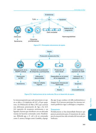 Inmunologia de Rojas 17ed.pdf