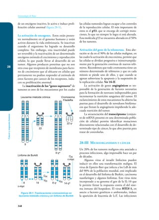 Inmunologia de Rojas 17ed.pdf