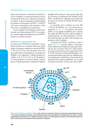 Inmunologia de Rojas 17ed.pdf