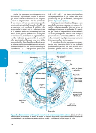 Inmunologia de Rojas 17ed.pdf