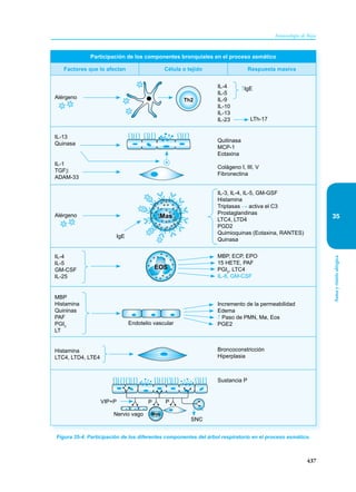 Inmunologia de Rojas 17ed.pdf