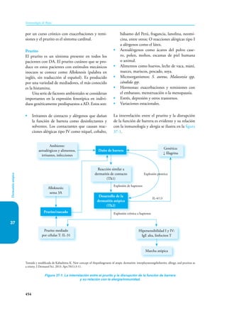 Inmunologia de Rojas 17ed.pdf