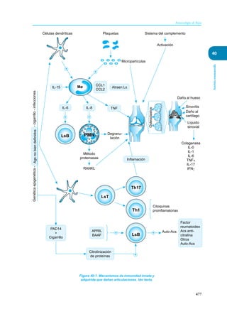 Inmunologia de Rojas 17ed.pdf