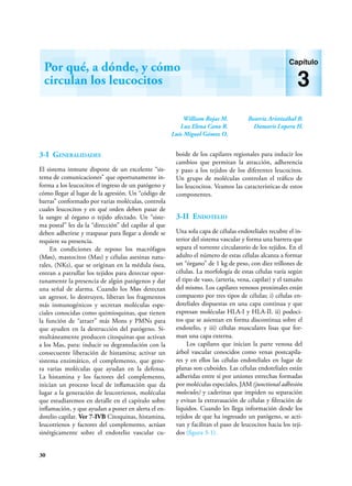 30
William Rojas M.
Luz Elena Cano R.
Luis Miguel Gómez O.
Beatriz Aristizábal B.
Damaris Lopera H.
Por qué, a dónde, y cómo
circulan los leucocitos
Capítulo
3
3-I Generalidades
El sistema inmune dispone de un excelente “sis-
tema de comunicaciones” que oportunamente in-
forma a los leucocitos el ingreso de un patógeno y
cómo llegar al lugar de la agresión. Un “código de
barras” conformado por varias moléculas, controla
cuales leucocitos y en qué orden deben pasar de
la sangre al órgano o tejido afectado. Un “siste-
ma postal” les da la “dirección” del capilar al que
deben adherirse y traspasar para llegar a donde se
requiere su presencia.
En condiciones de reposo los macrófagos
(Møs), mastocitos (Mas) y células asesinas natu-
rales, (NKs), que se originan en la médula ósea,
entran a patrullar los tejidos para detectar opor-
tunamente la presencia de algún patógenos y dar
una señal de alarma. Cuando los Møs detectan
un agresor, lo destruyen, liberan los fragmentos
más inmunogénicos y secretan moléculas espe-
ciales conocidas como quimioquinas, que tienen
la función de “atraer” más Mons y PMNs para
que ayuden en la destrucción del patógeno. Si-
multáneamente producen citoquinas que activan
a los Mas, para: inducir su degranulación con la
consecuente liberación de histamina; activar un
sistema enzimático, el complemento, que gene-
ra varias moléculas que ayudan en la defensa.
La histamina y los factores del complemento,
inician un proceso local de inflamación que da
lugar a la generación de leucotrienos, moléculas
que estudiaremos en detalle en el capítulo sobre
inflamación, y que ayudan a poner en alerta el en-
dotelio capilar. Ver 7-IVB Citoquinas, histamina,
leucotrienos y factores del complemento, actúan
sinérgicamente sobre el endotelio vascular cu-
boide de los capilares regionales para inducir los
cambios que permitan la atracción, adherencia
y paso a los tejidos de los diferentes leucocitos.
Un grupo de moléculas controlan el tráfico de
los leucocitos. Veamos las características de estos
componentes.
3-II Endotelio
Una sola capa de células endoteliales recubre el in-
terior del sistema vascular y forma una barrera que
separa el torrente circulatorio de los tejidos. En el
adulto el número de estas células alcanza a formar
un “órgano” de 1 kg de peso, con diez trillones de
células. La morfología de estas células varía según
el tipo de vaso, (arteria, vena, capilar) y el tamaño
del mismo. Los capilares venosos proximales están
compuesto por tres tipos de células; i) células en-
doteliales dispuestas en una capa continua y que
expresan moléculas HLA-I y HLA-II. ii) podoci-
tos que se asientan en forma discontinua sobre el
endotelio, y iii) células musculares lisas que for-
man una capa externa.
Los capilares que inician la parte venosa del
árbol vascular conocidos como venas postcapila-
res y en ellos las células endoteliales en lugar de
planas son cuboides. Las células endoteliales están
adheridas entre sí por uniones estrechas formadas
por moléculas especiales, JAM (junctional adhesión
molecules) y caderinas que impiden su separación
y evitan la extravasación de células y filtración de
líquidos. Cuando les llega información desde los
tejidos de que ha ingresado un patógeno, se acti-
van y facilitan el paso de leucocitos hacia los teji-
dos (figura 3-1).
 