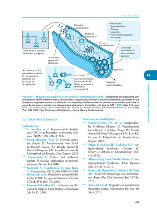 Inmunologia de Rojas 17ed.pdf