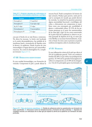 Inmunologia de Rojas 17ed.pdf