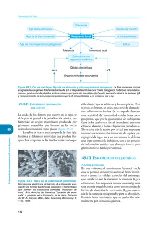 Inmunologia de Rojas 17ed.pdf